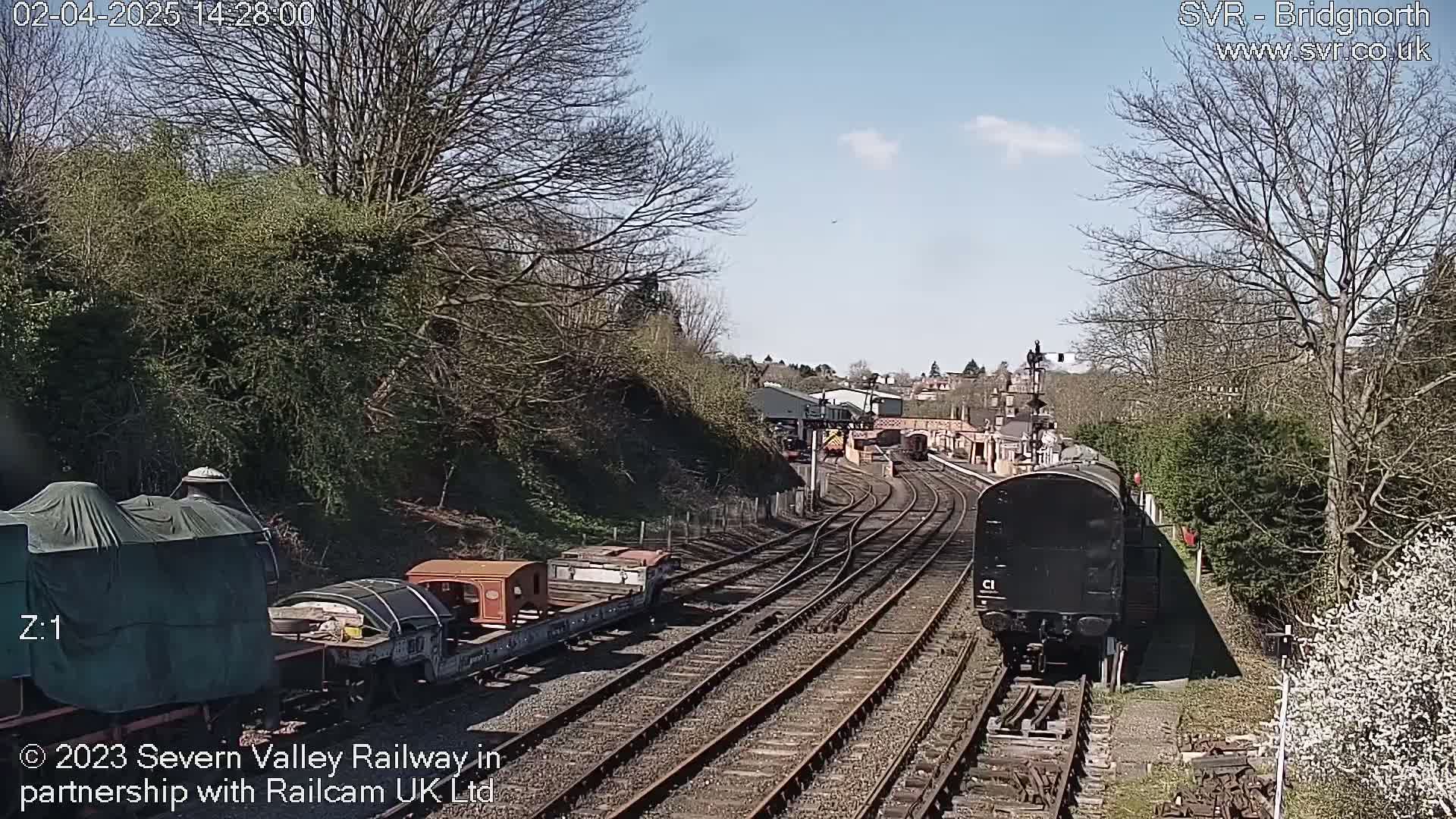 A sunny day at a train station with multiple train cars on railway tracks, some covered and others uncovered, situated alongside trees and shrubs.