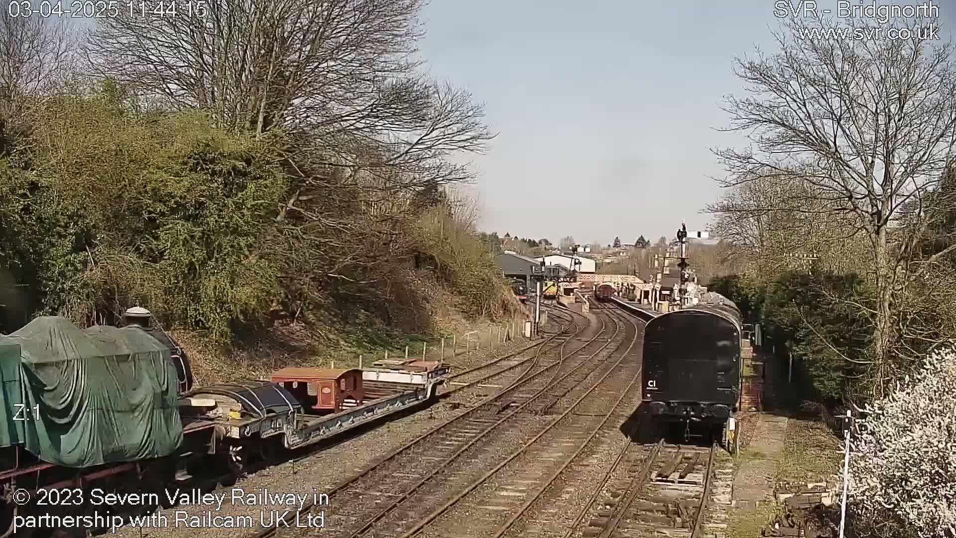 A sunny day at a railway station shows several train cars on multiple tracks, some covered, alongside trees and shrubs.