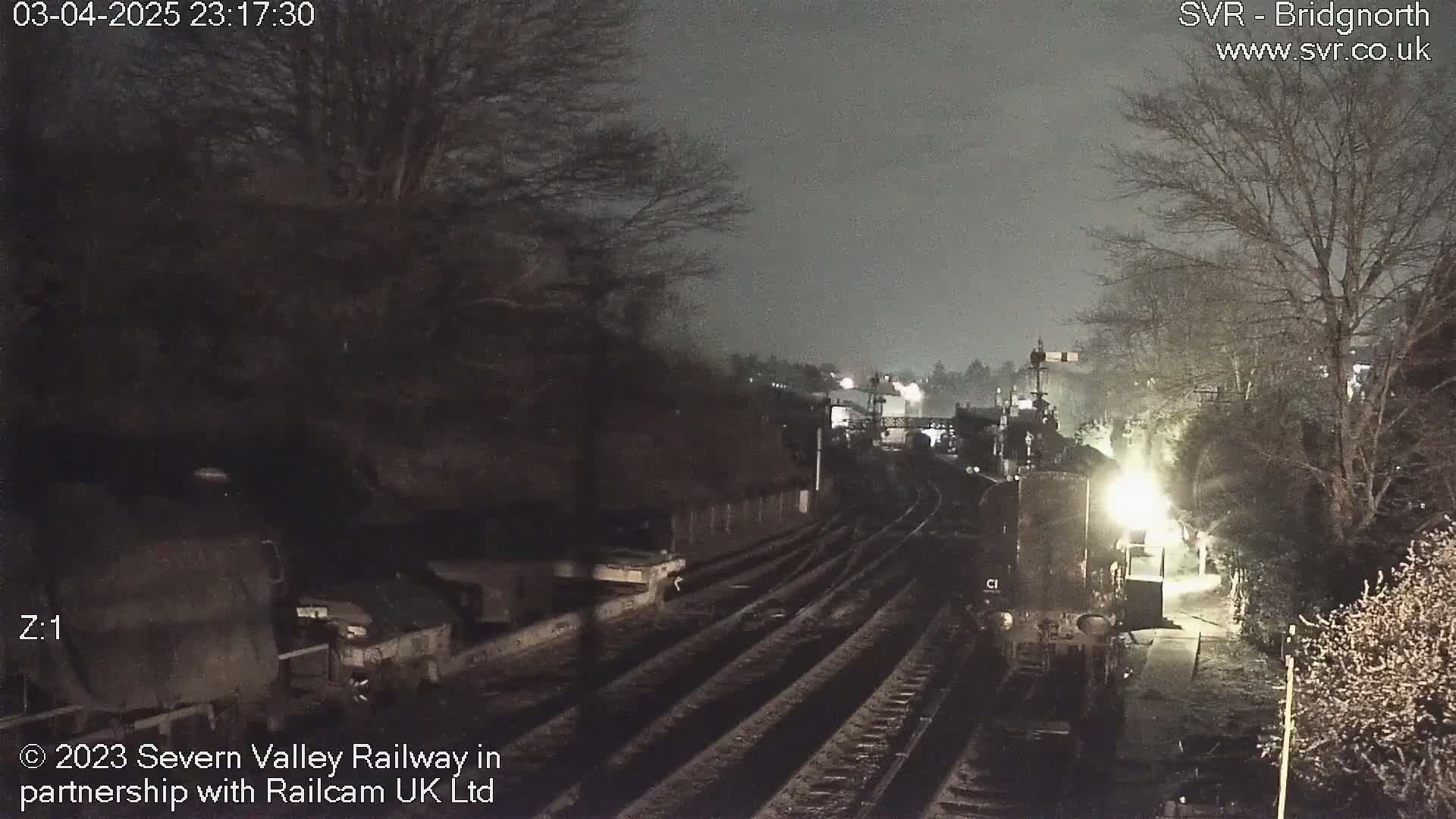 A nighttime view of a dimly lit train yard with railway tracks, surrounded by bare trees under a dark, overcast sky.