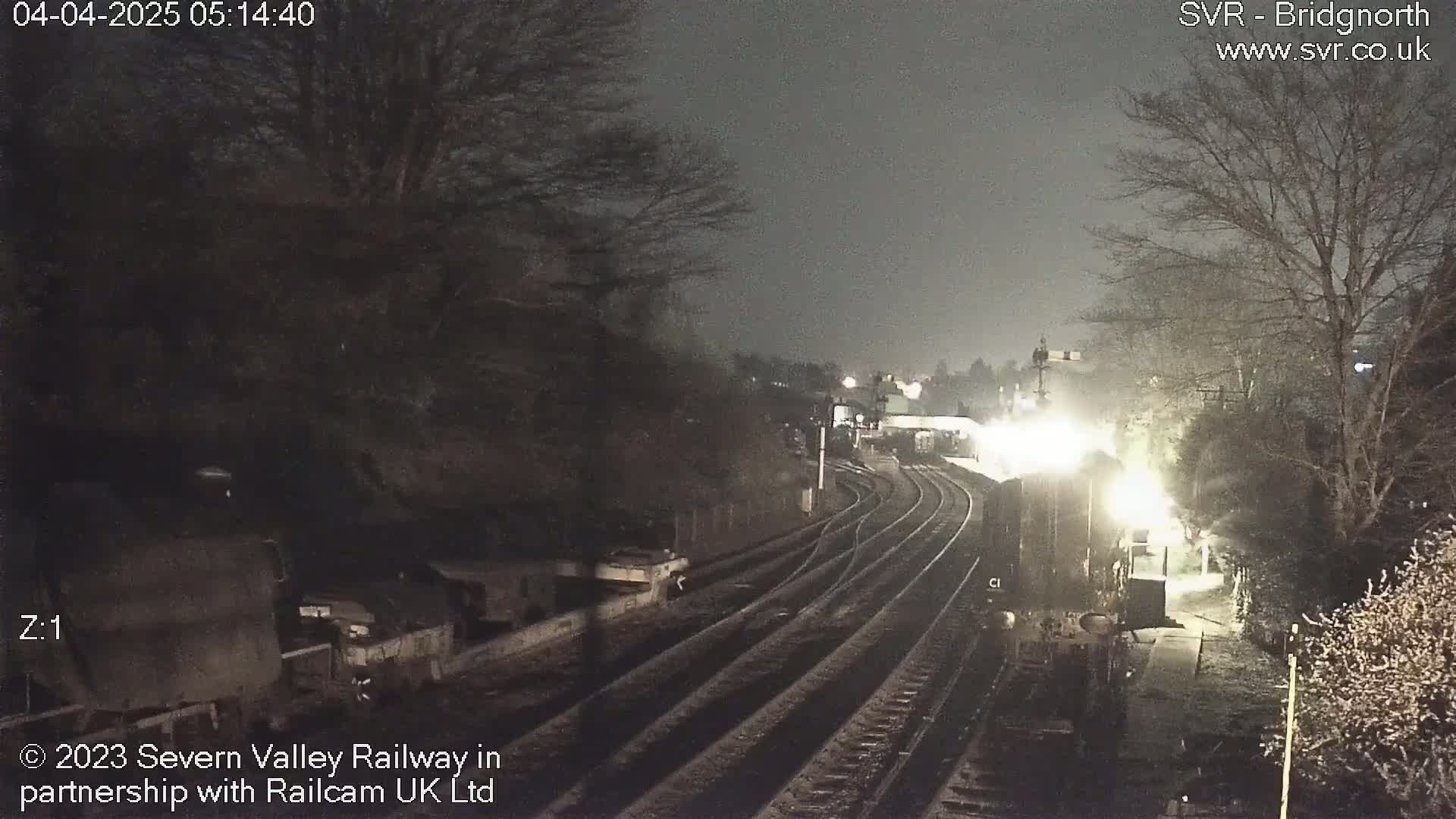 A nighttime view of a train on railway tracks, partially obscured by trees and darkness.
