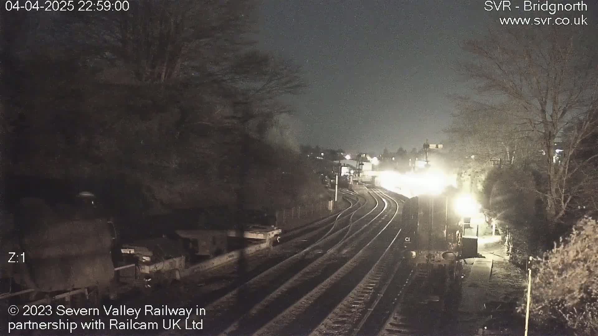 A brightly lit train approaches a nighttime railway station surrounded by dark trees.