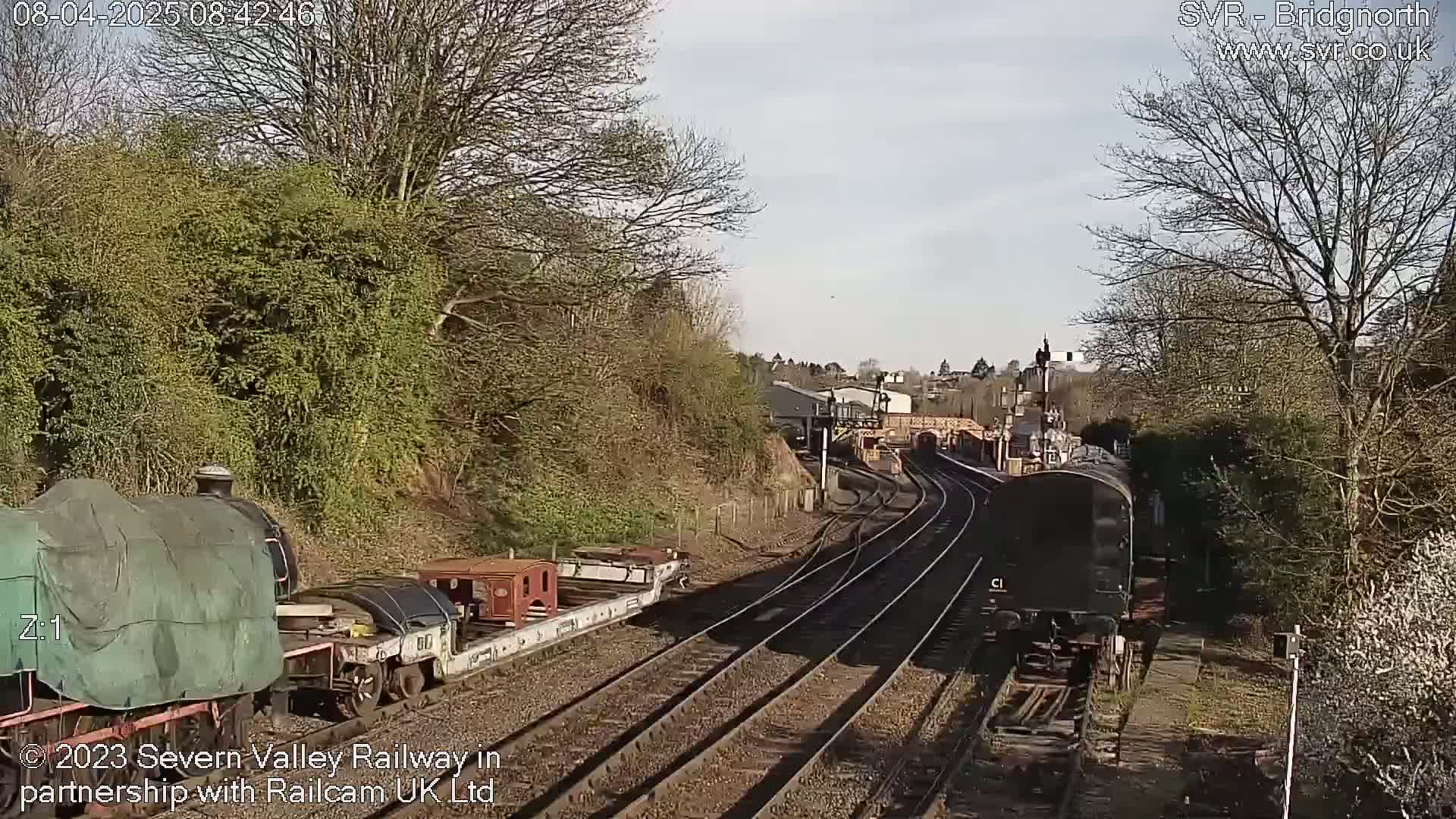 Under a sunny sky, several railway cars and locomotives are situated on multiple train tracks, surrounded by leafless trees and shrubs.