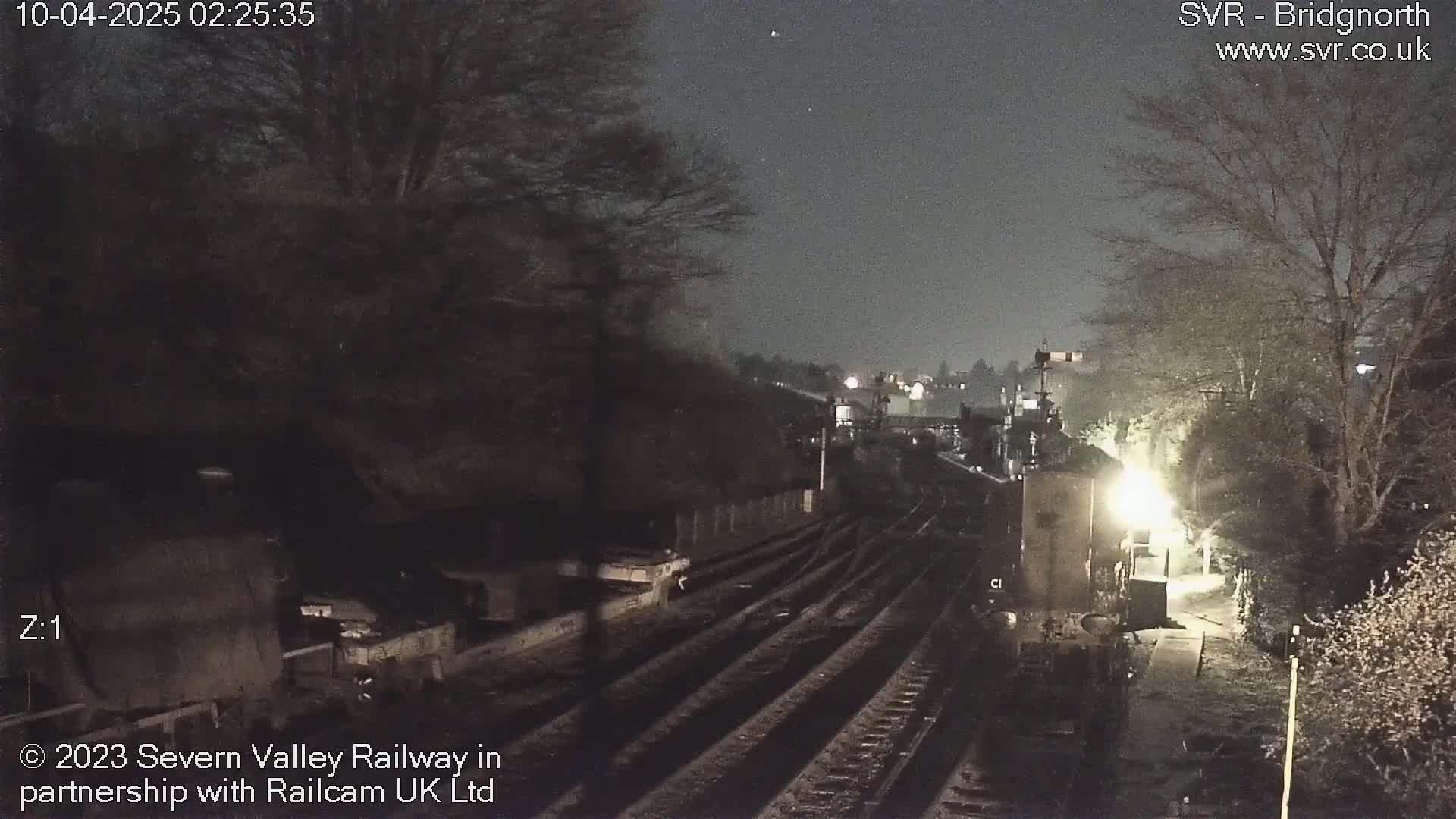 A nighttime view of train tracks and a railway station platform, partially illuminated, surrounded by dark trees under a clear, dark sky.