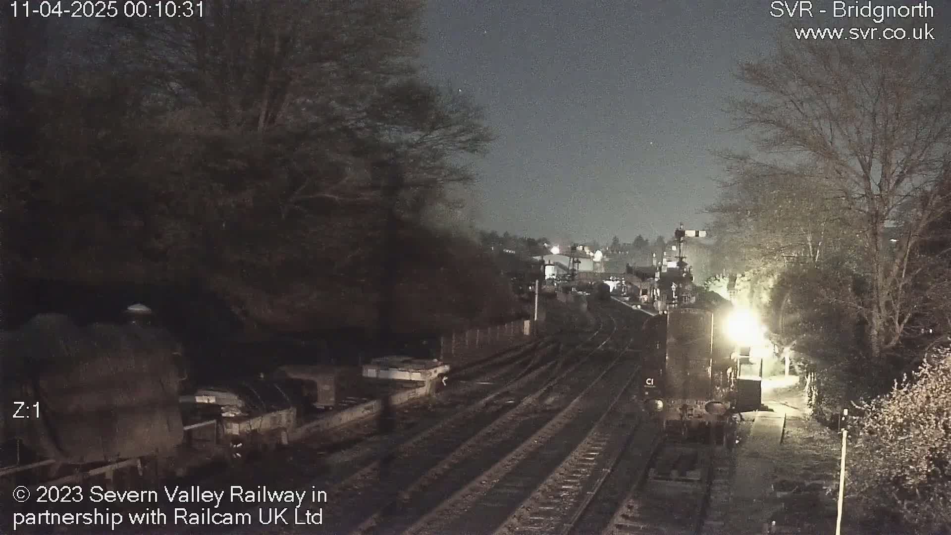 A nighttime view of a train on a railway track, surrounded by dark trees and under a clear, dark sky.