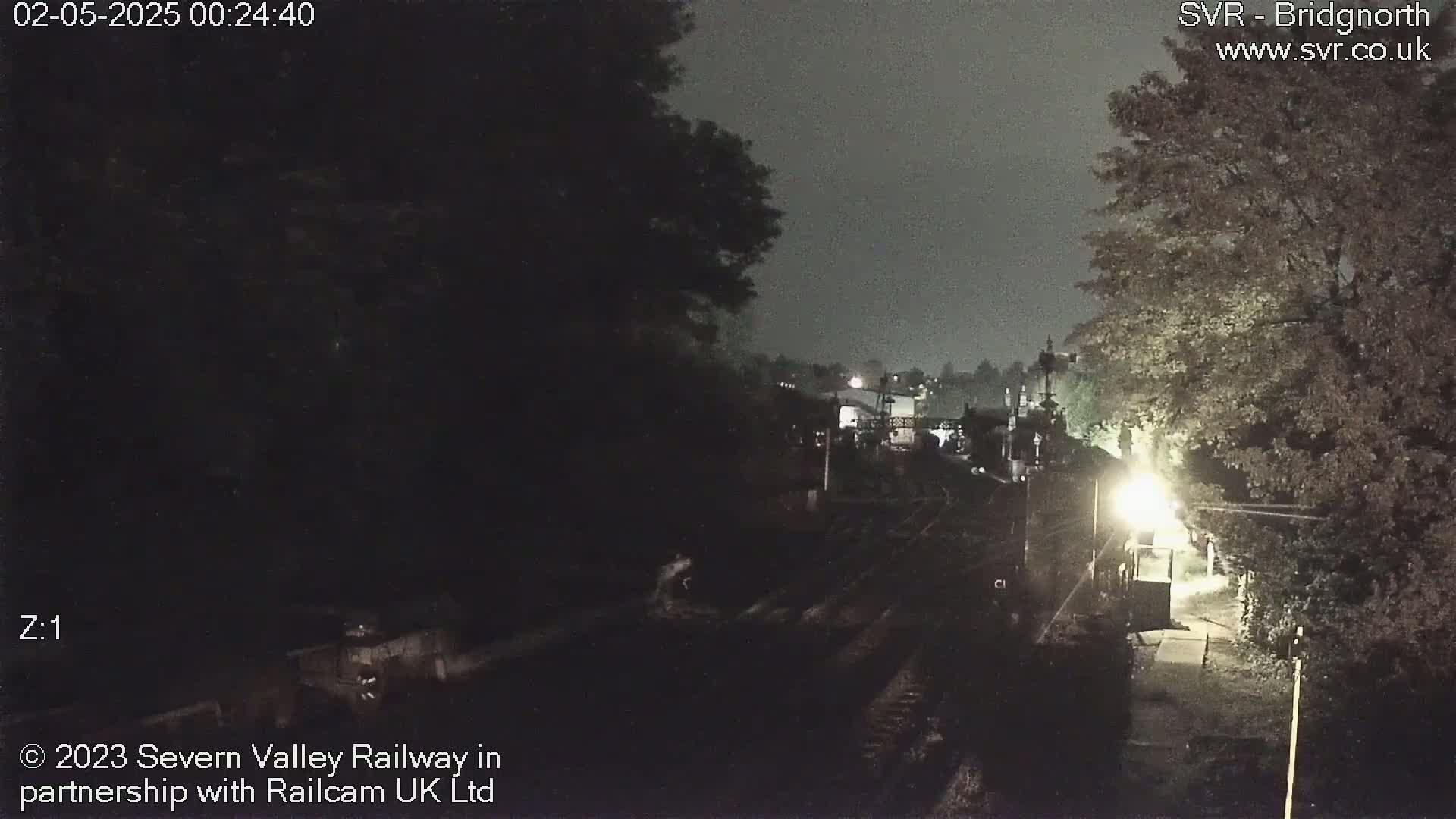 A nighttime, dimly lit view of railroad tracks and a train station, partially obscured by trees and darkness.