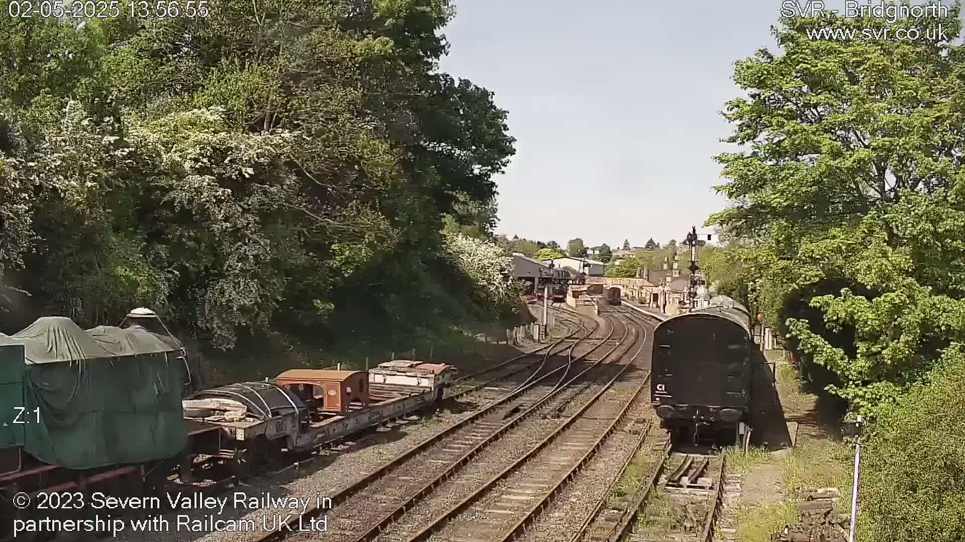 A sunny day at a railway station shows several train cars on multiple tracks surrounded by lush green trees and bushes.