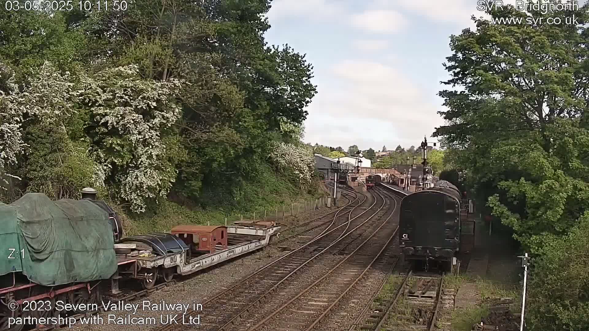 A partially cloudy day reveals a railway scene with multiple train cars, including a covered locomotive and a black engine, situated on several parallel tracks amidst lush green trees and flowering bushes.