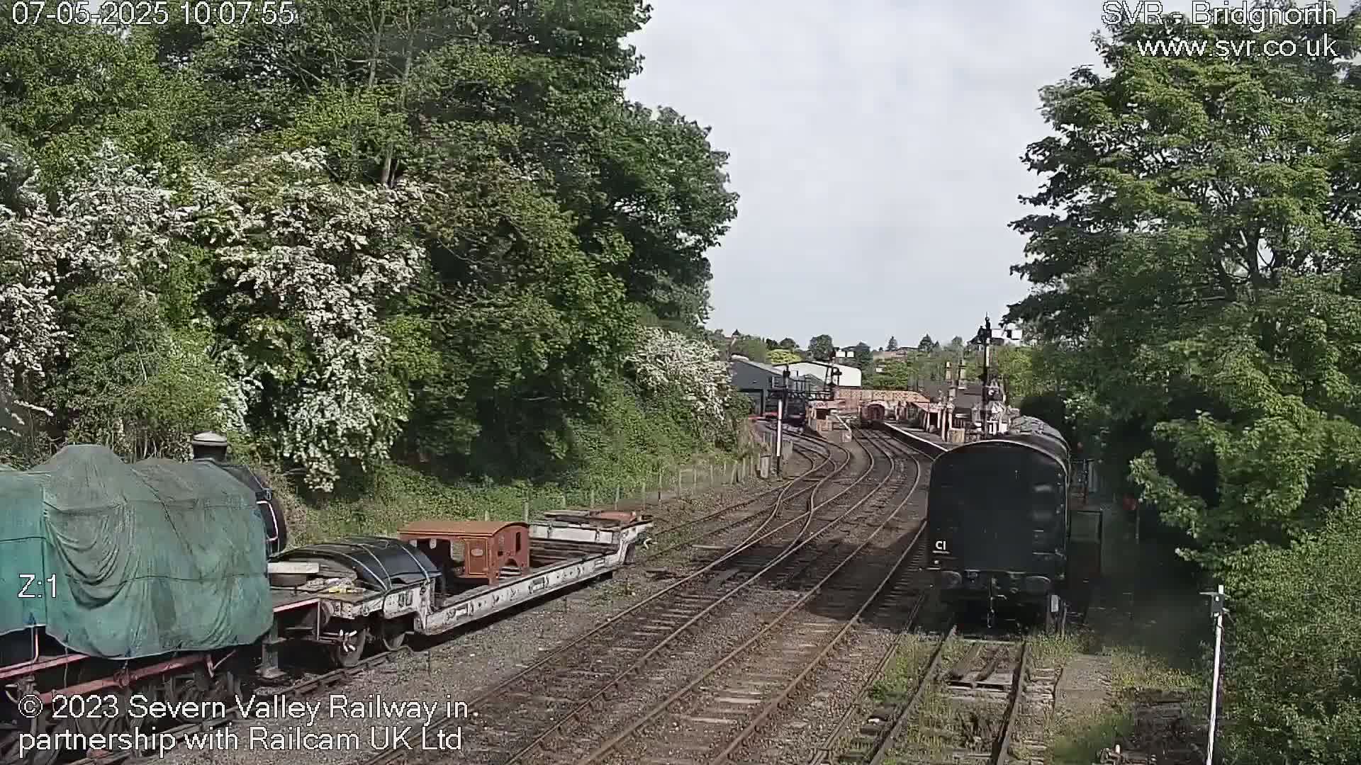 A diesel train and several railway cars are on multiple tracks surrounded by lush green trees and flowering bushes under a partly cloudy sky.