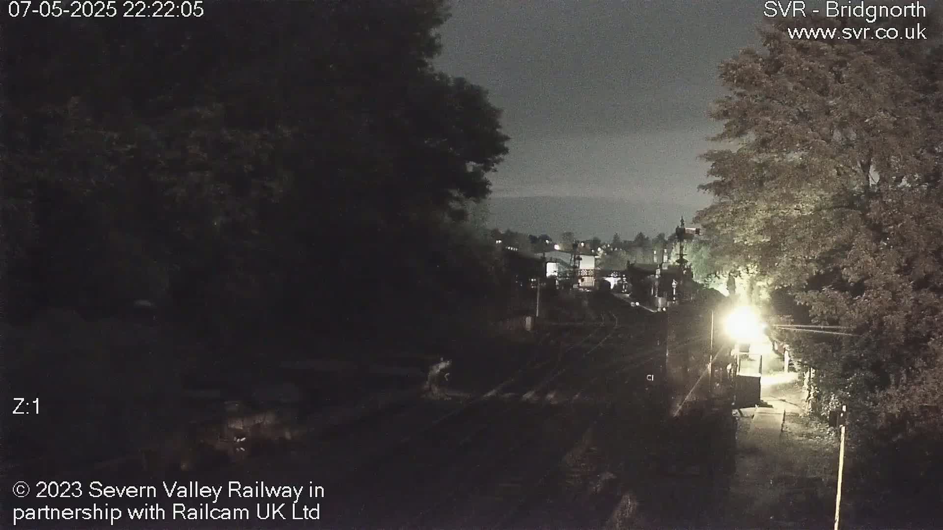 A nighttime view of train tracks and a dimly lit railway station, partially obscured by trees.