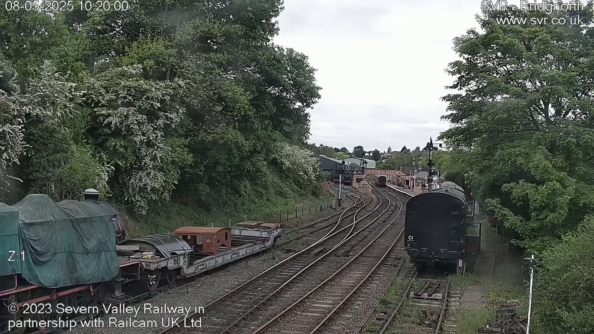 A railway scene under an overcast sky shows several train cars on multiple tracks, surrounded by lush green trees and vegetation.