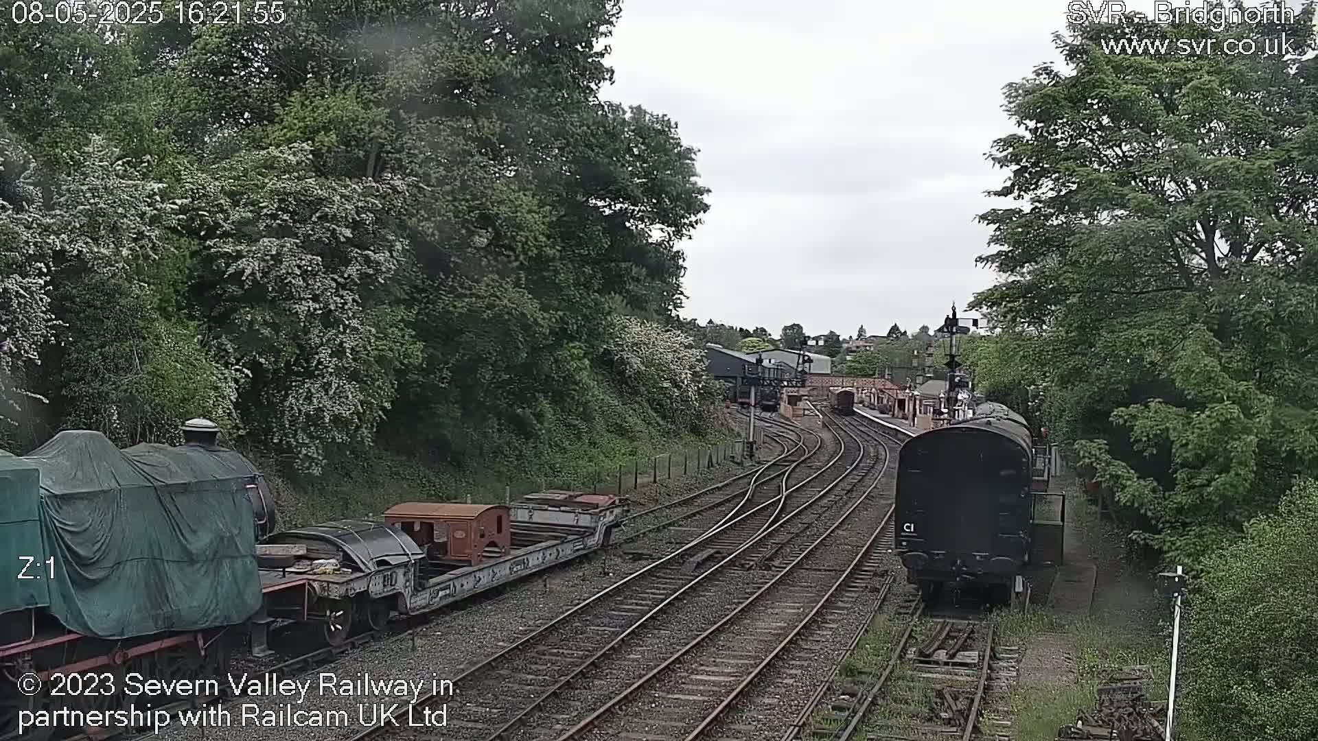 A railway scene on an overcast day shows several railway cars and locomotives on multiple tracks, surrounded by lush green trees and vegetation.