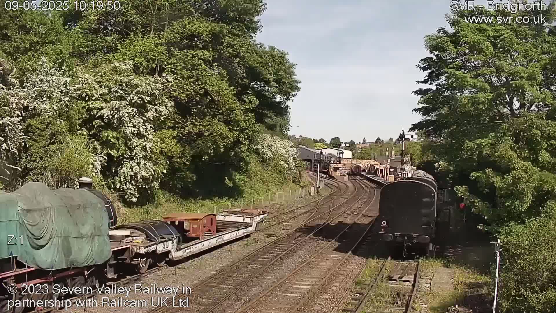 A sunny day at a railway station shows multiple train cars on several tracks surrounded by lush green trees and flowering bushes.