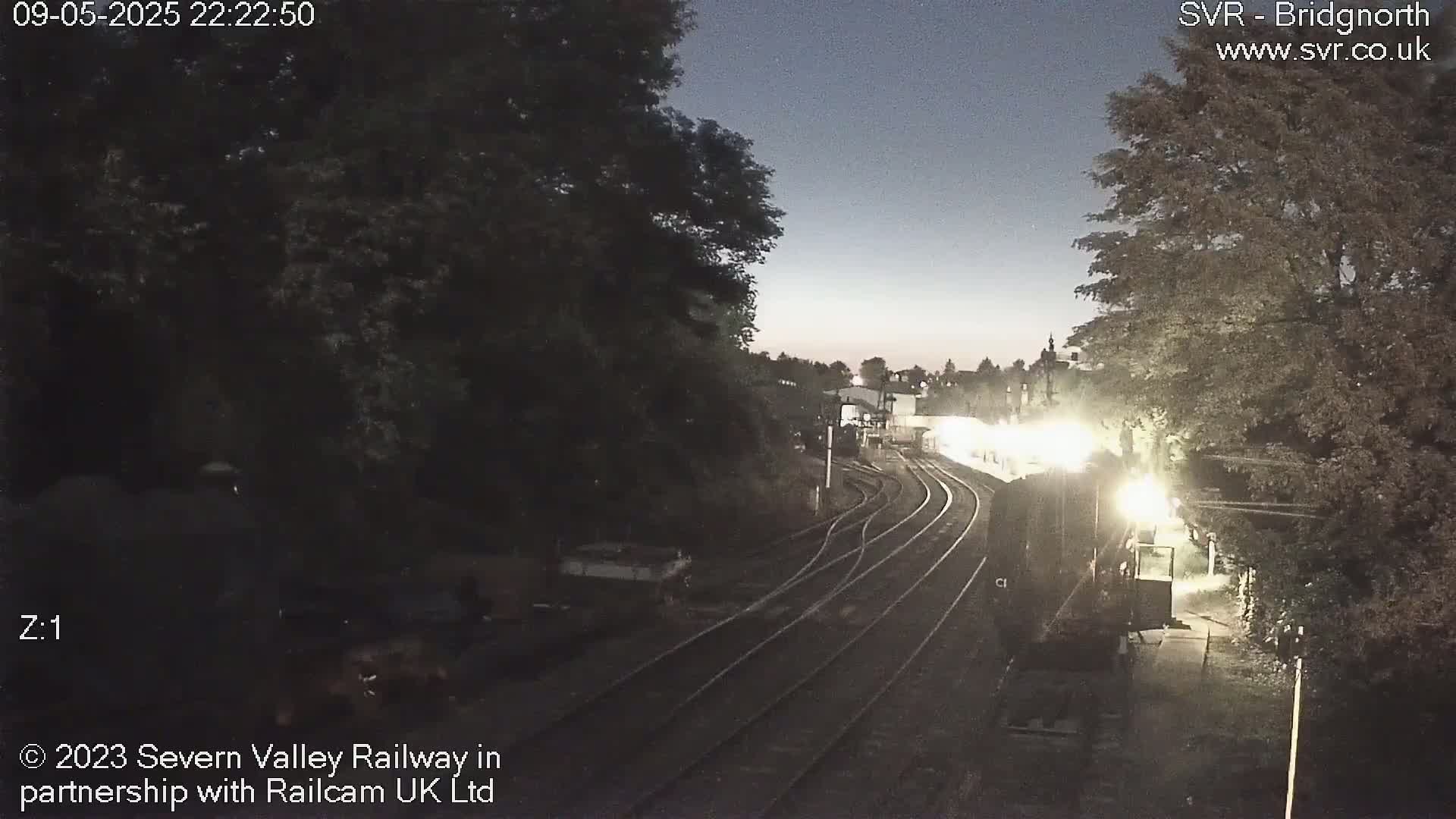 A dimly lit train station at night, with a train partially visible in the distance and trees surrounding the tracks under a twilight sky.