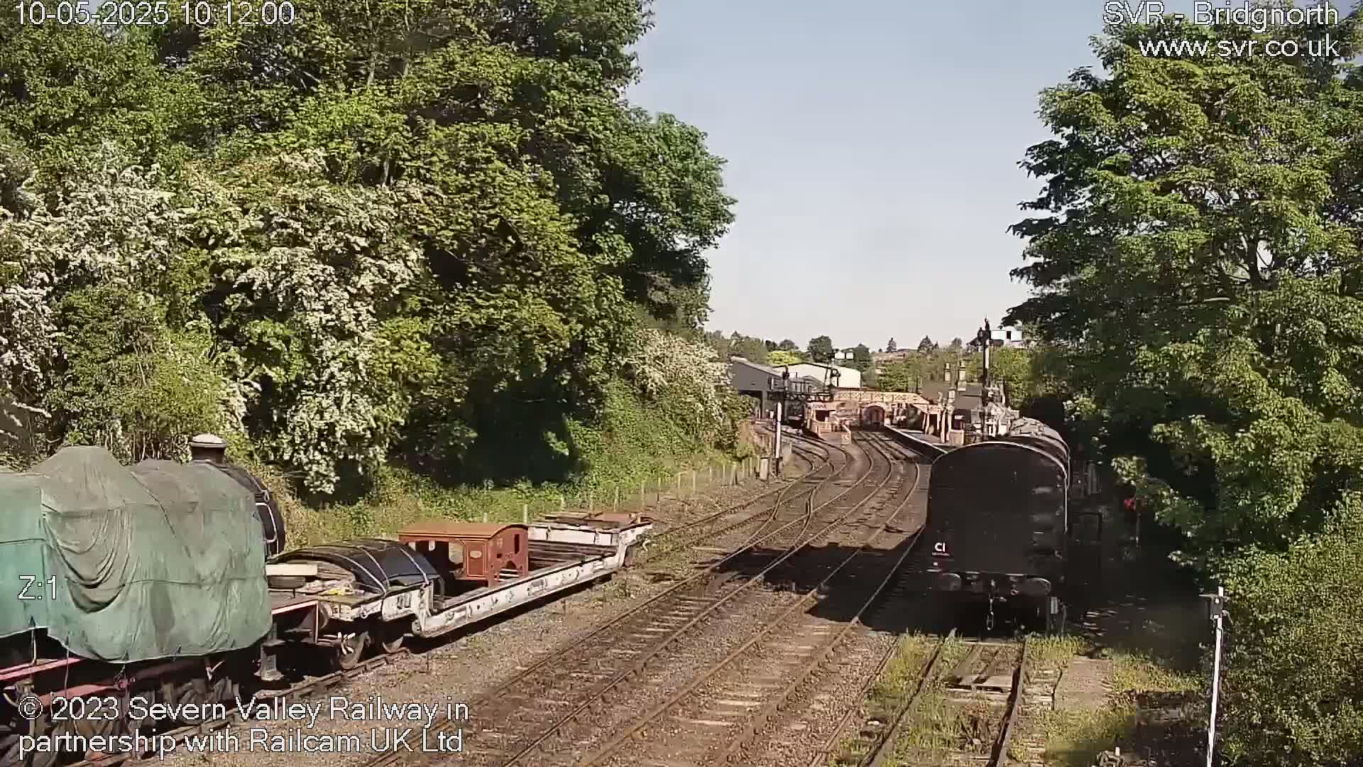 A sunny day at a railway station shows several train cars and locomotives on multiple tracks, surrounded by lush green trees and foliage.