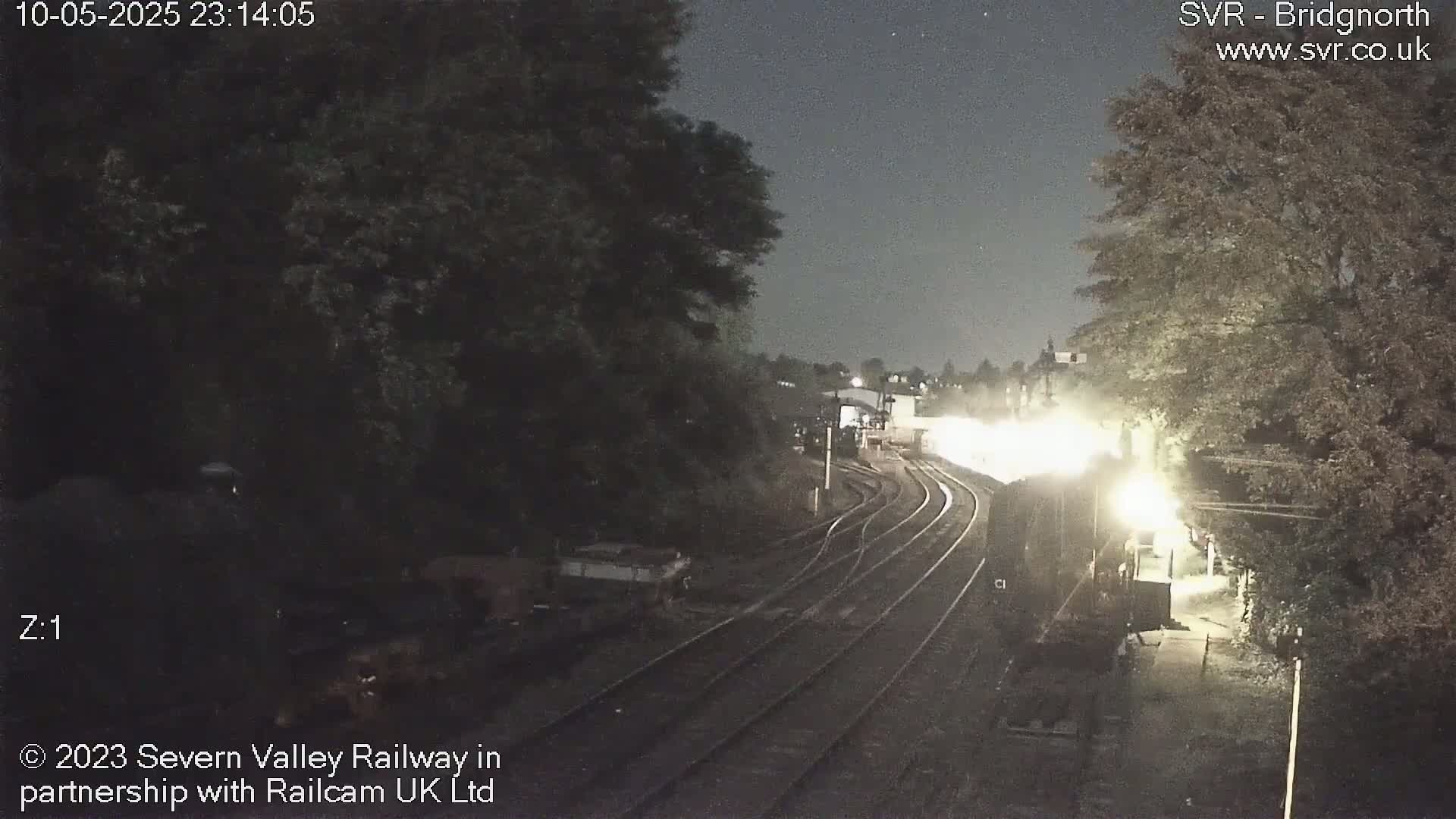 A brightly lit train curves through a dark, tree-lined railway station at night.