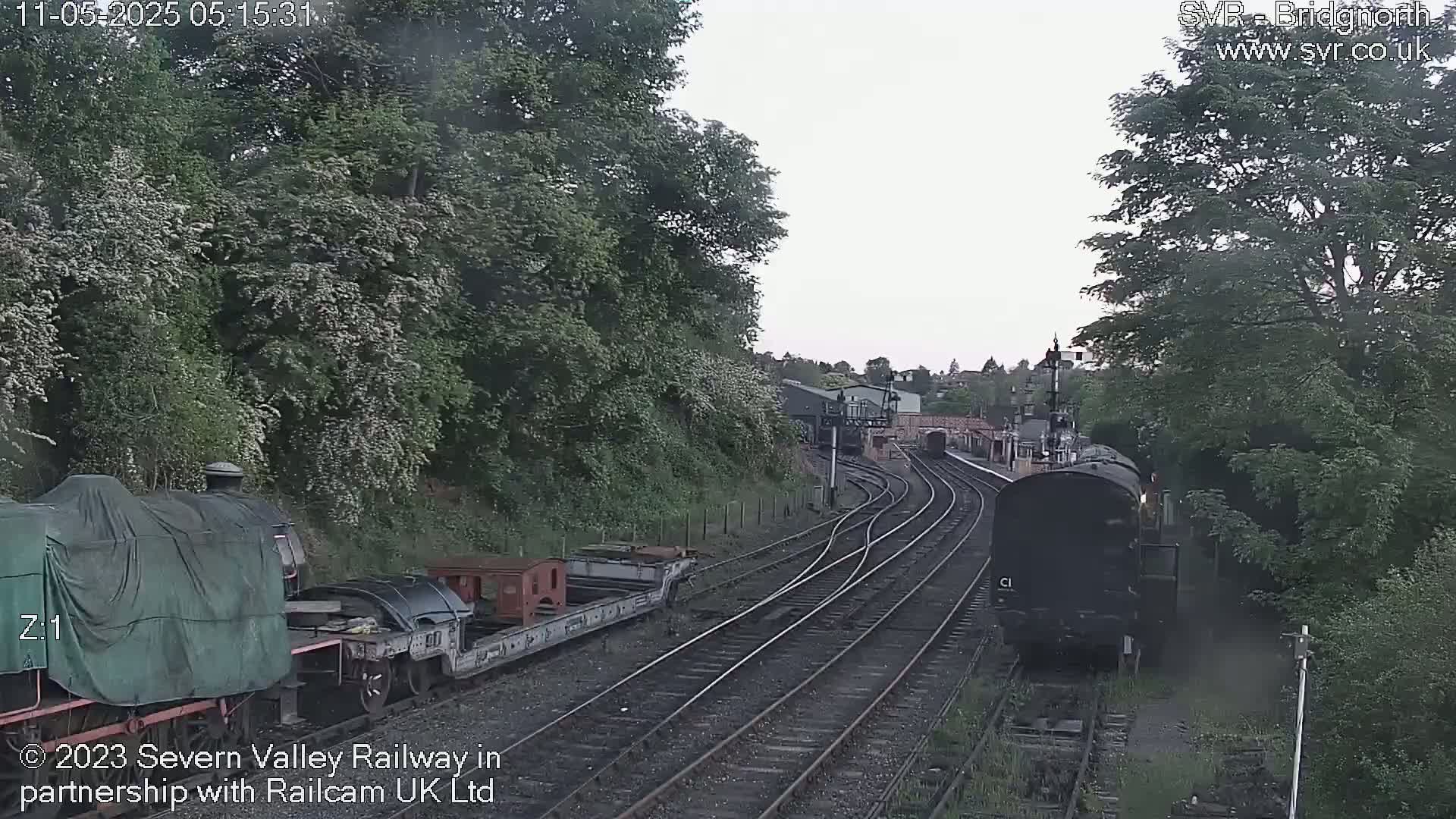 Two locomotives and several rail cars are on a railway track surrounded by lush green trees under an overcast sky.