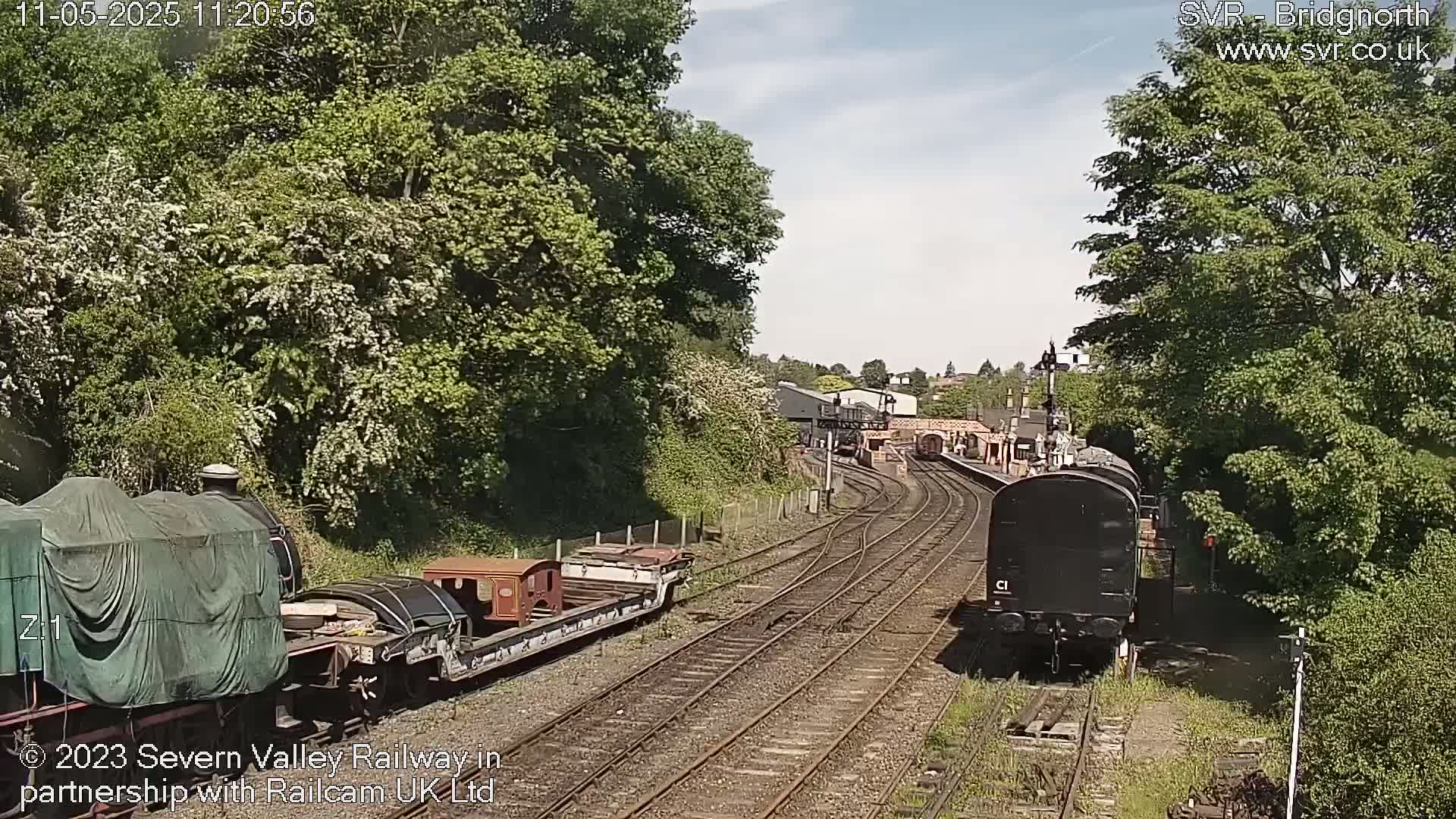 A sunny day at a railway station shows multiple train cars, some covered, on multiple train tracks surrounded by lush green trees.