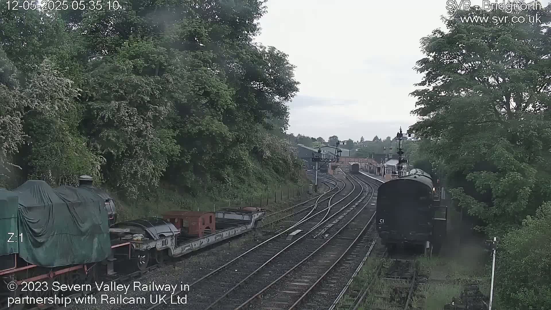 A dark-colored train passes by a railway station on an overcast day, with lush green trees lining the tracks and a covered train car visible in the foreground.