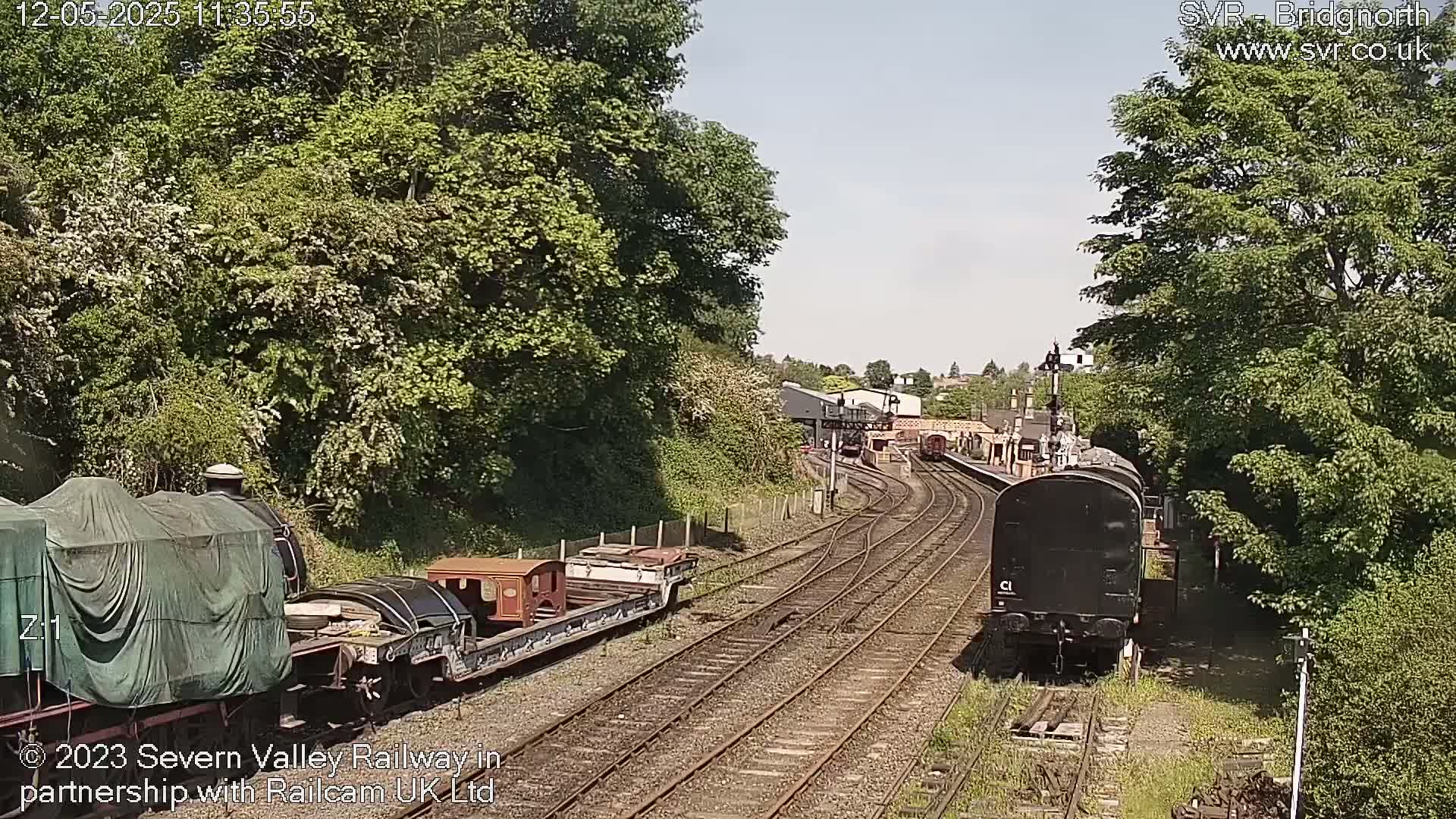 A sunny day at a railway station shows multiple train cars and locomotives, some covered, along several sets of tracks surrounded by lush green trees.
