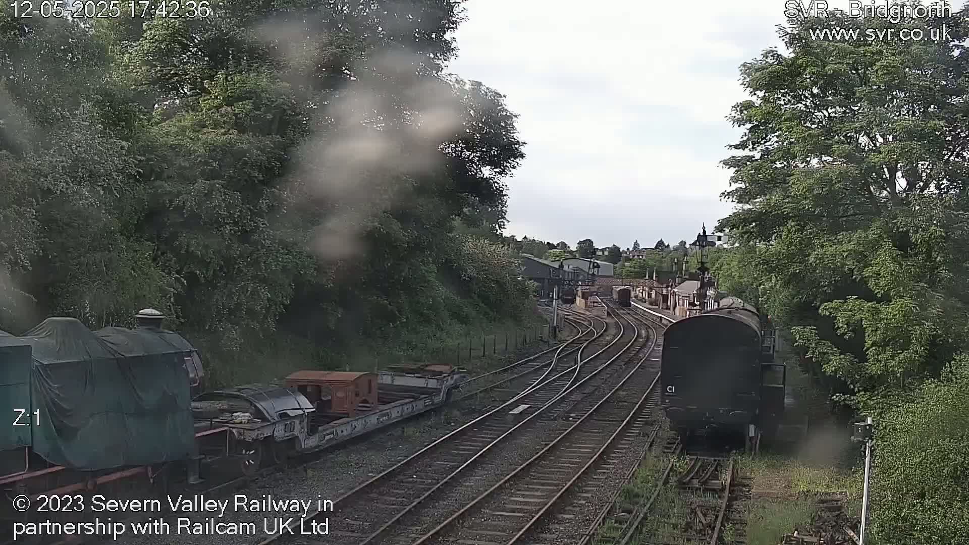 A view of a railway track with several train cars and locomotives, some covered, under an overcast sky, surrounded by lush green trees.