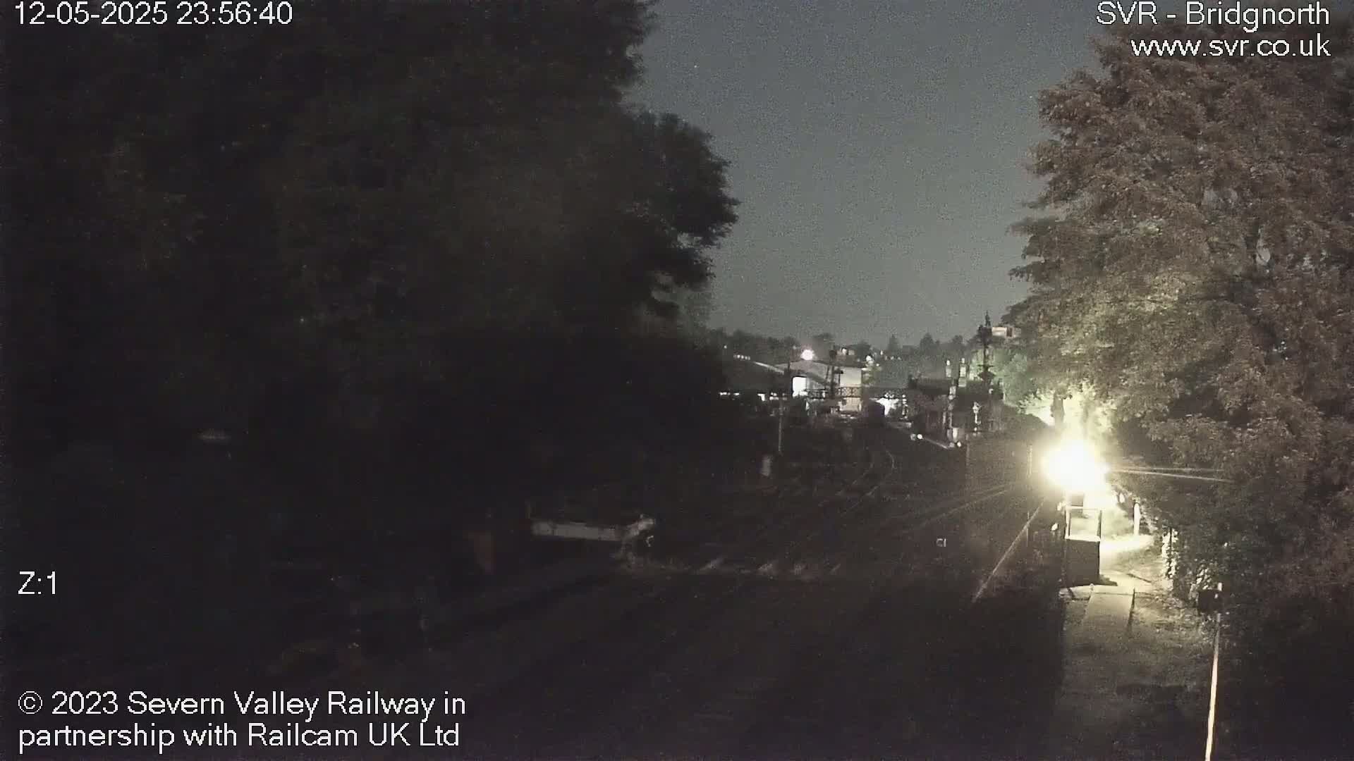 A nighttime view of a dimly lit train yard and surrounding trees under a dark sky.