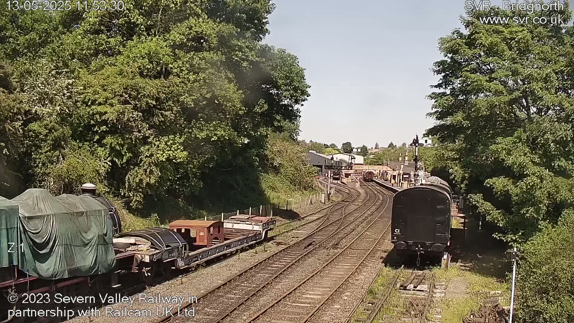 A sunny day at a train station shows multiple railcars and locomotives on several tracks surrounded by lush green trees.