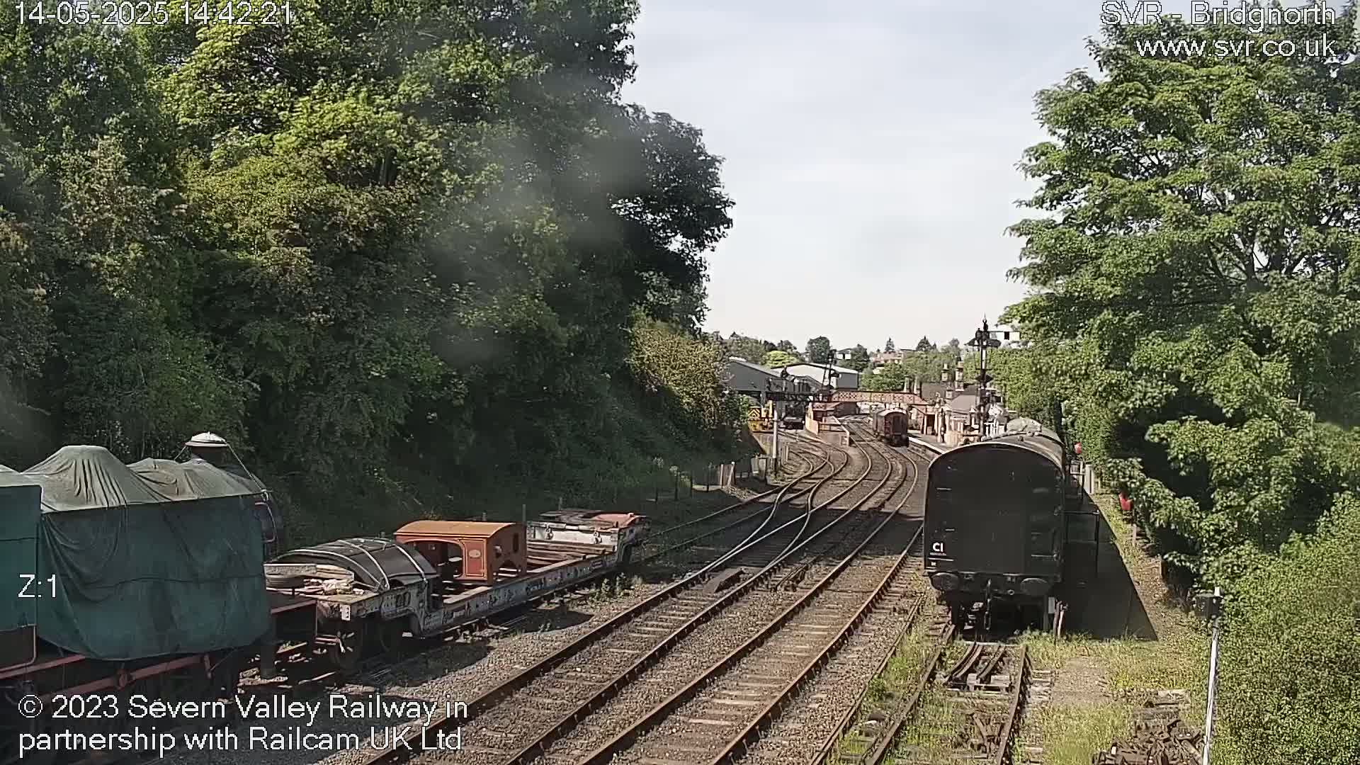 A sunny day at a railway station shows multiple train cars on tracks surrounded by lush green trees.
