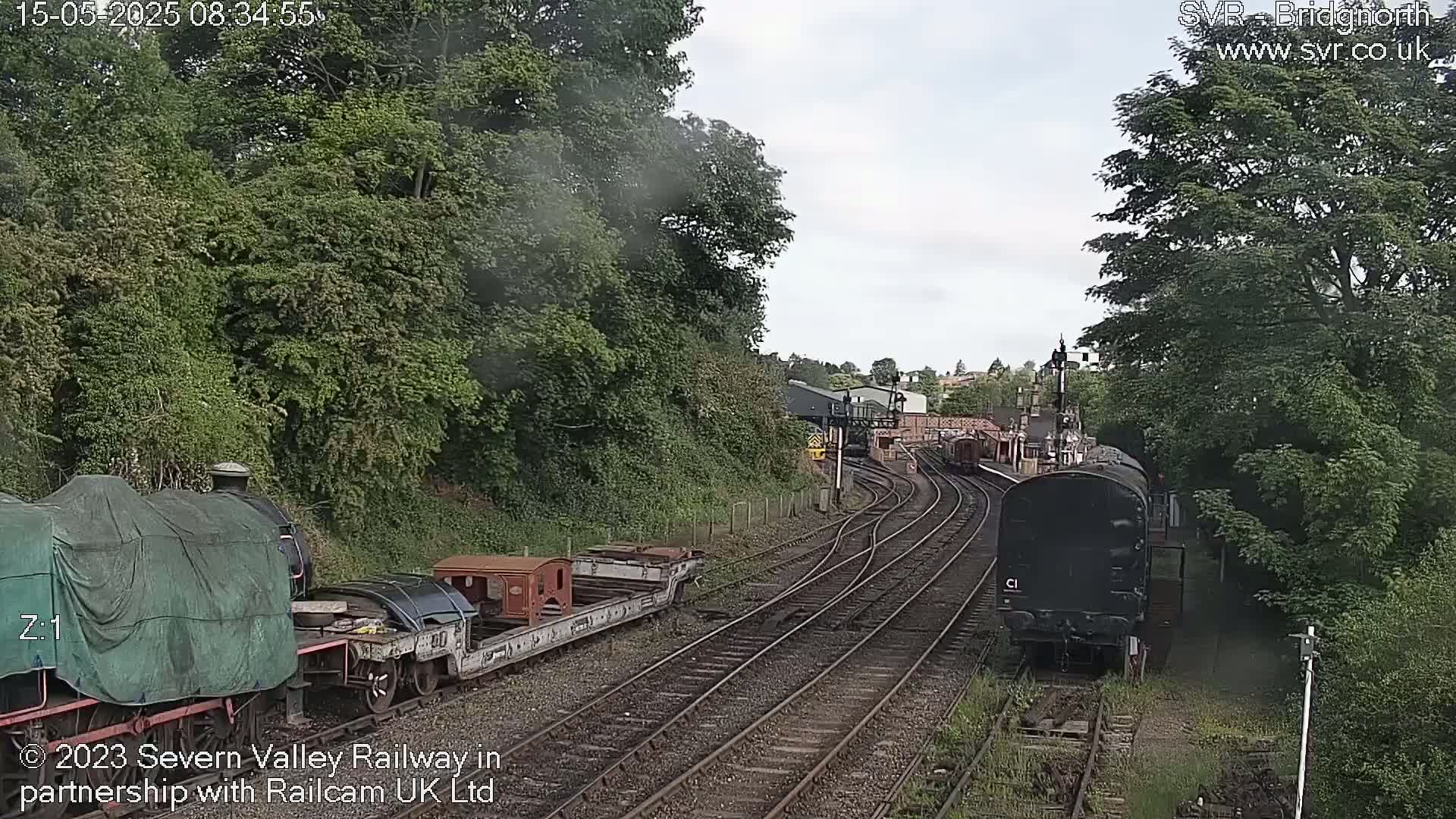 A cloudy day at a railway station with multiple train cars and locomotives on several tracks surrounded by lush green trees.