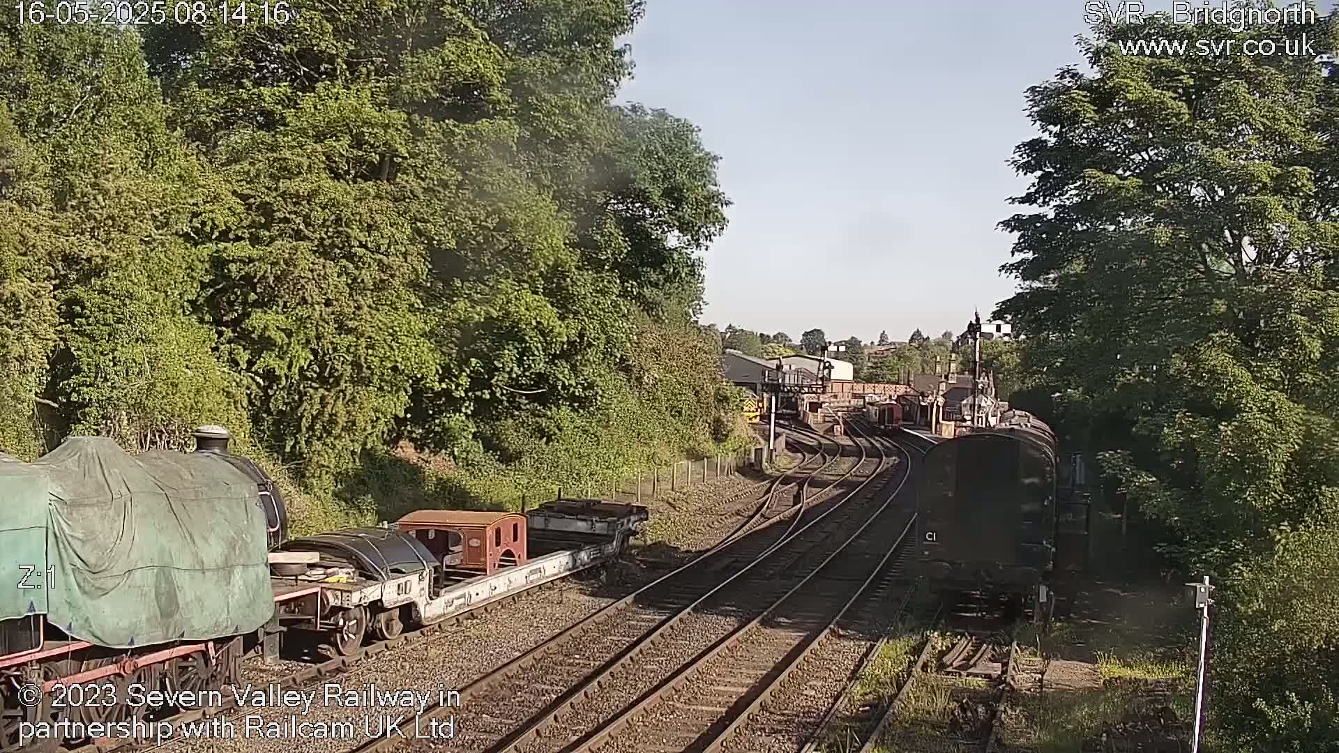 A partially sunny day shows several railway cars and a covered locomotive on a track curving through lush green foliage.