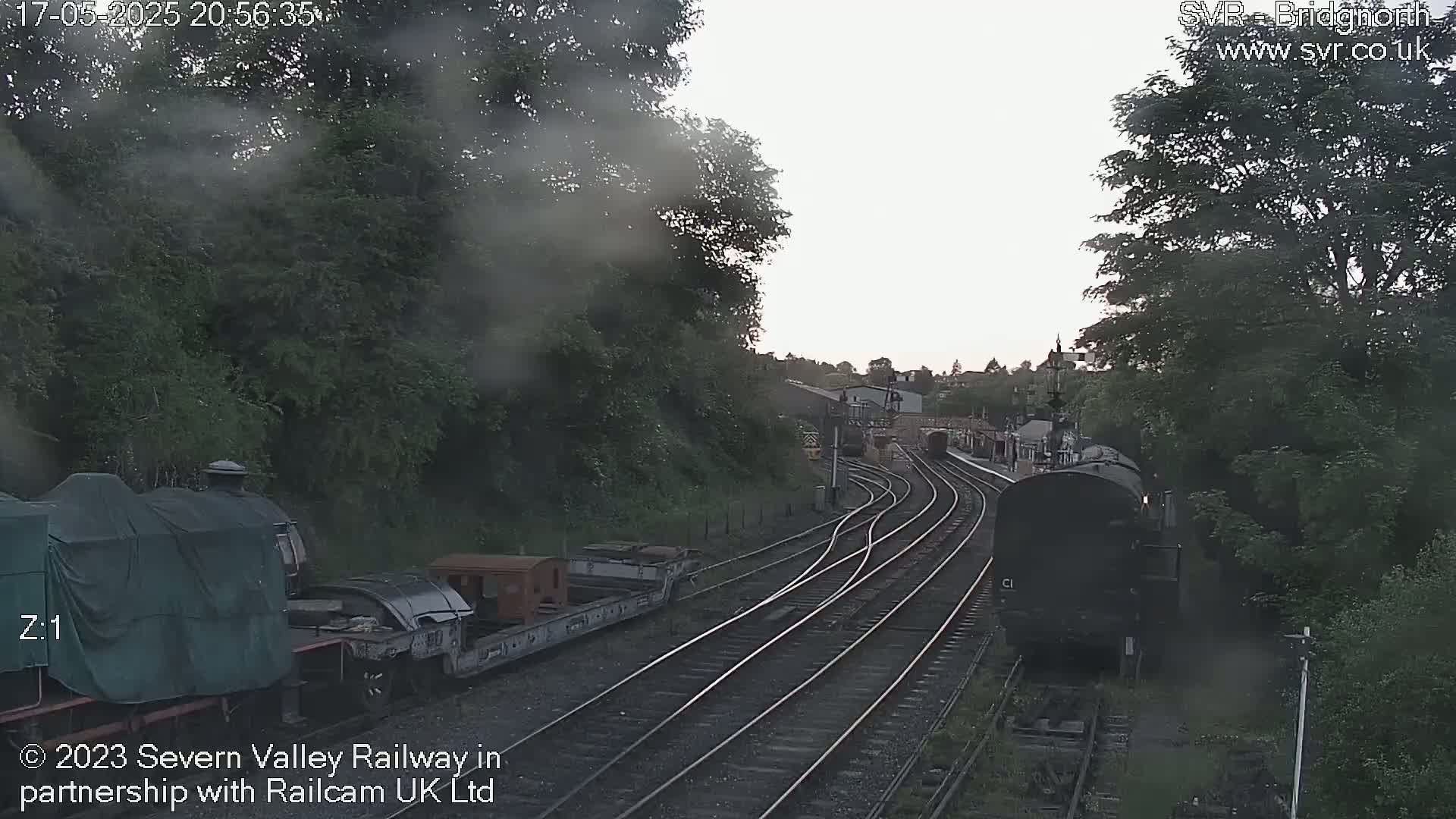 A train is moving along railway tracks surrounded by lush green trees under an overcast sky.