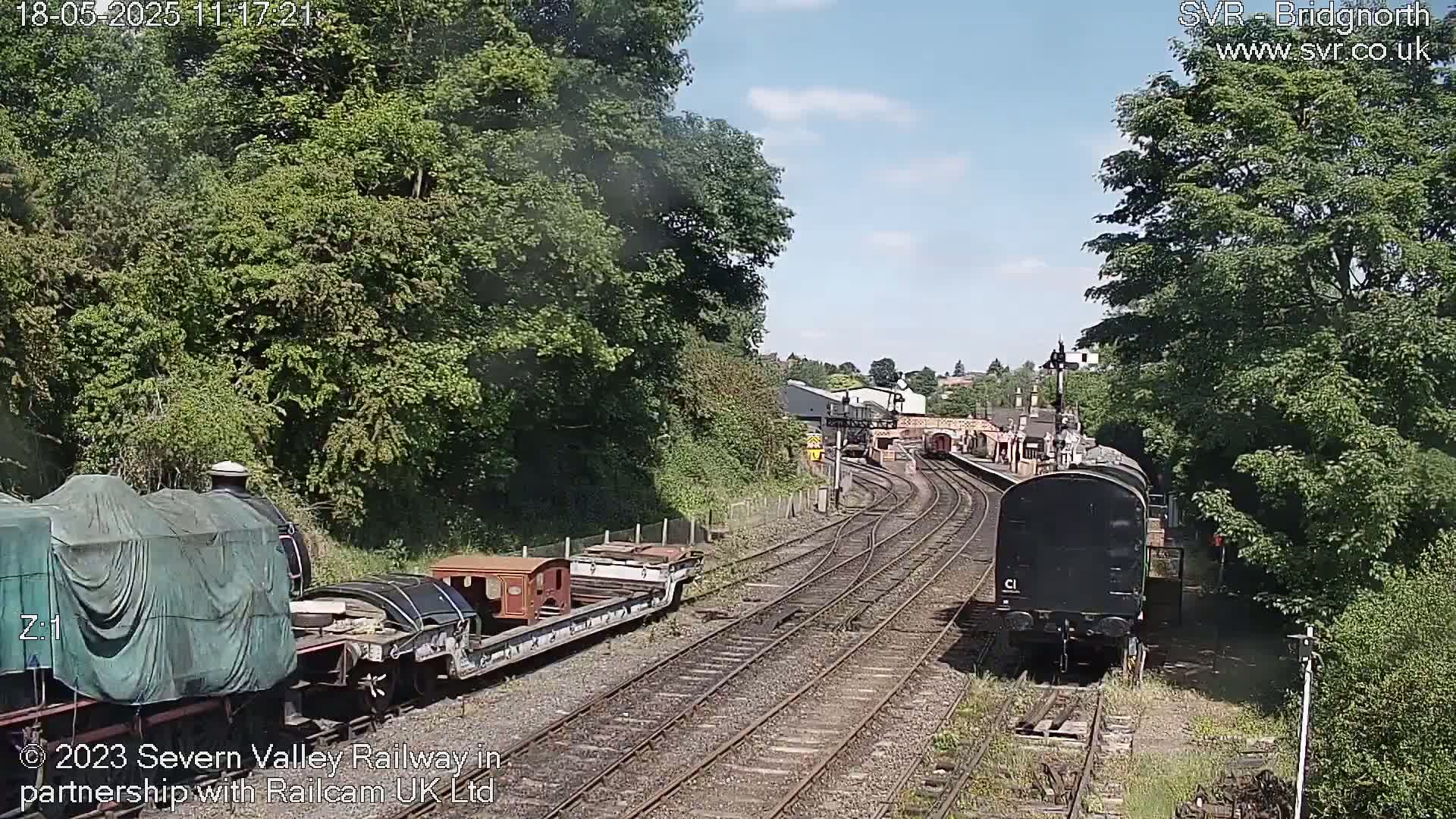 A sunny day at a railway station shows several railway cars and locomotives on multiple tracks surrounded by lush green trees.