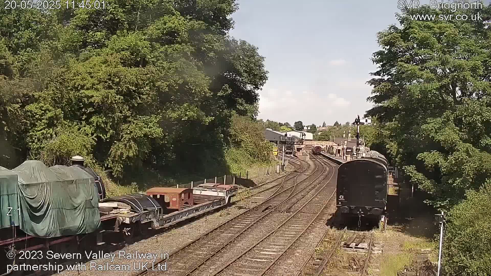 A sunny day reveals a railway scene with multiple train cars, some covered and others uncovered, situated on several train tracks surrounded by lush green trees.