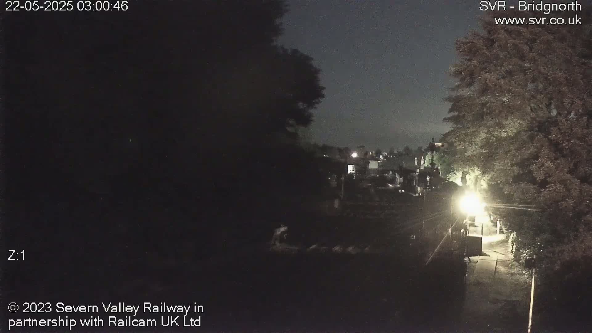 A nighttime, low-light view of a path illuminated by a lamppost, bordered by trees and buildings in the distance.