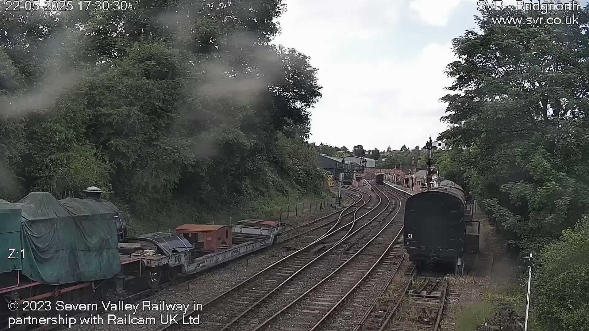 Two trains, one covered and one uncovered, sit on a railway track surrounded by trees on an overcast day.