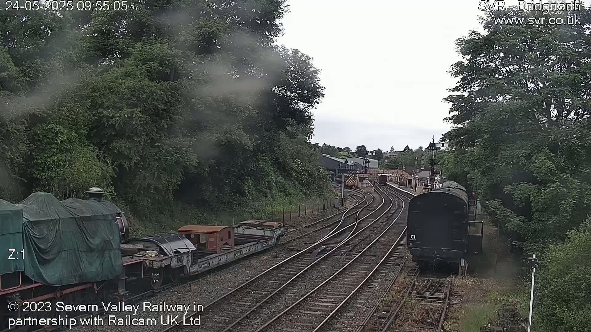 Two locomotives and several railcars are visible on a railway track surrounded by lush green trees under an overcast sky.