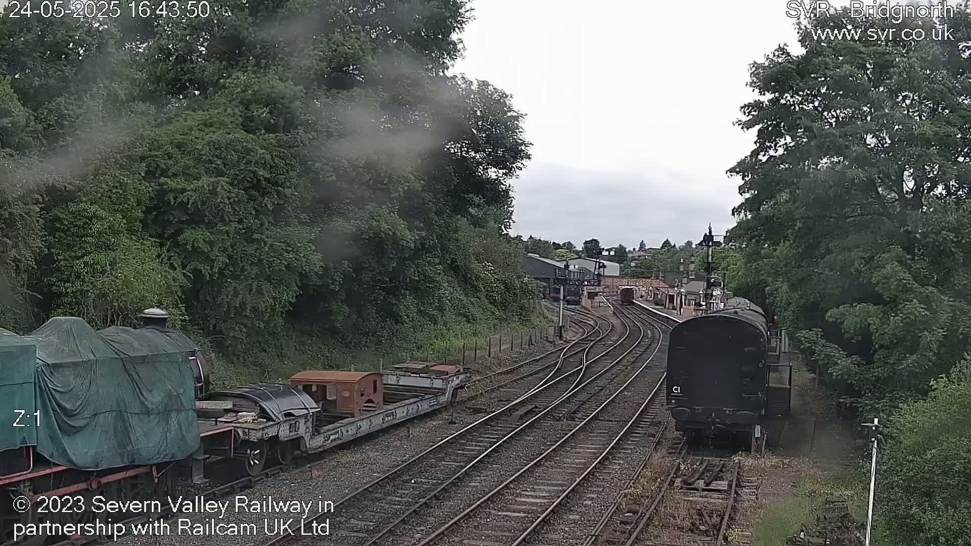 A train and several rail cars are on a track surrounded by lush green trees under an overcast sky.