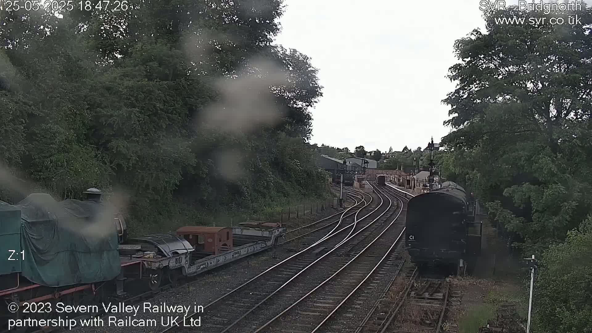 A view through rain-streaked glass shows several railway cars and locomotives on multiple train tracks, surrounded by lush green trees under an overcast sky.