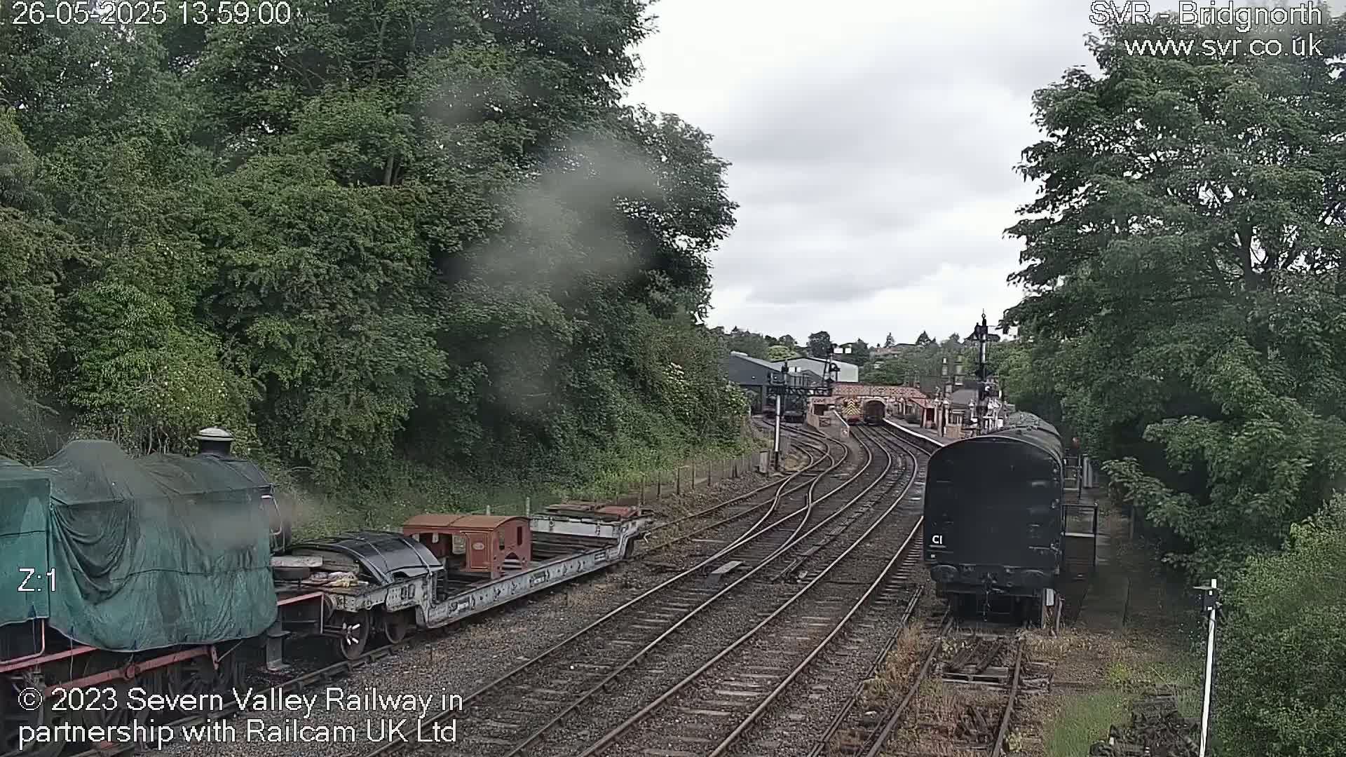 A view of railway tracks with several train cars and locomotives, surrounded by lush green trees under an overcast sky.