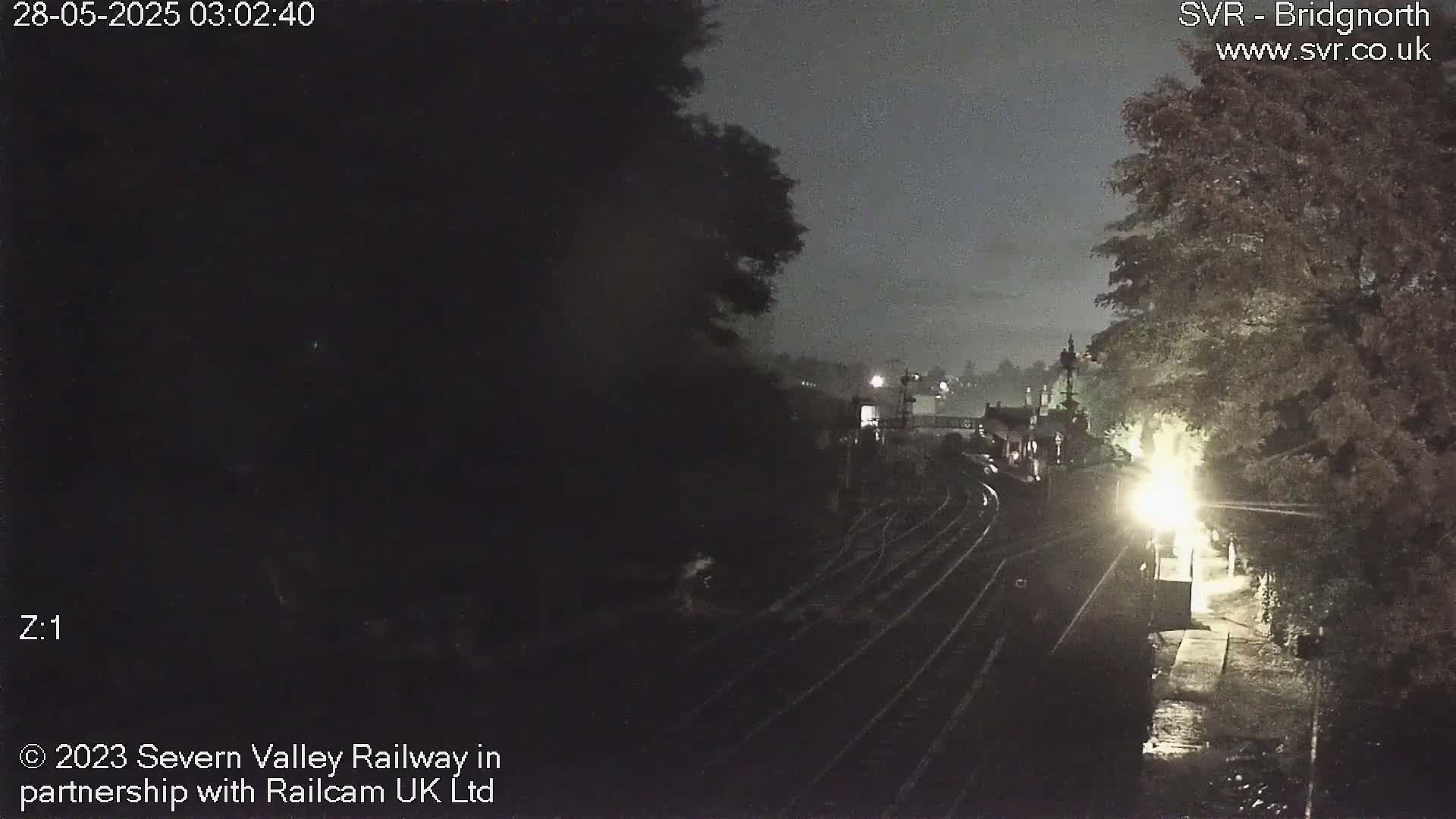 A nighttime, low-light view of a train station with train tracks and trees.