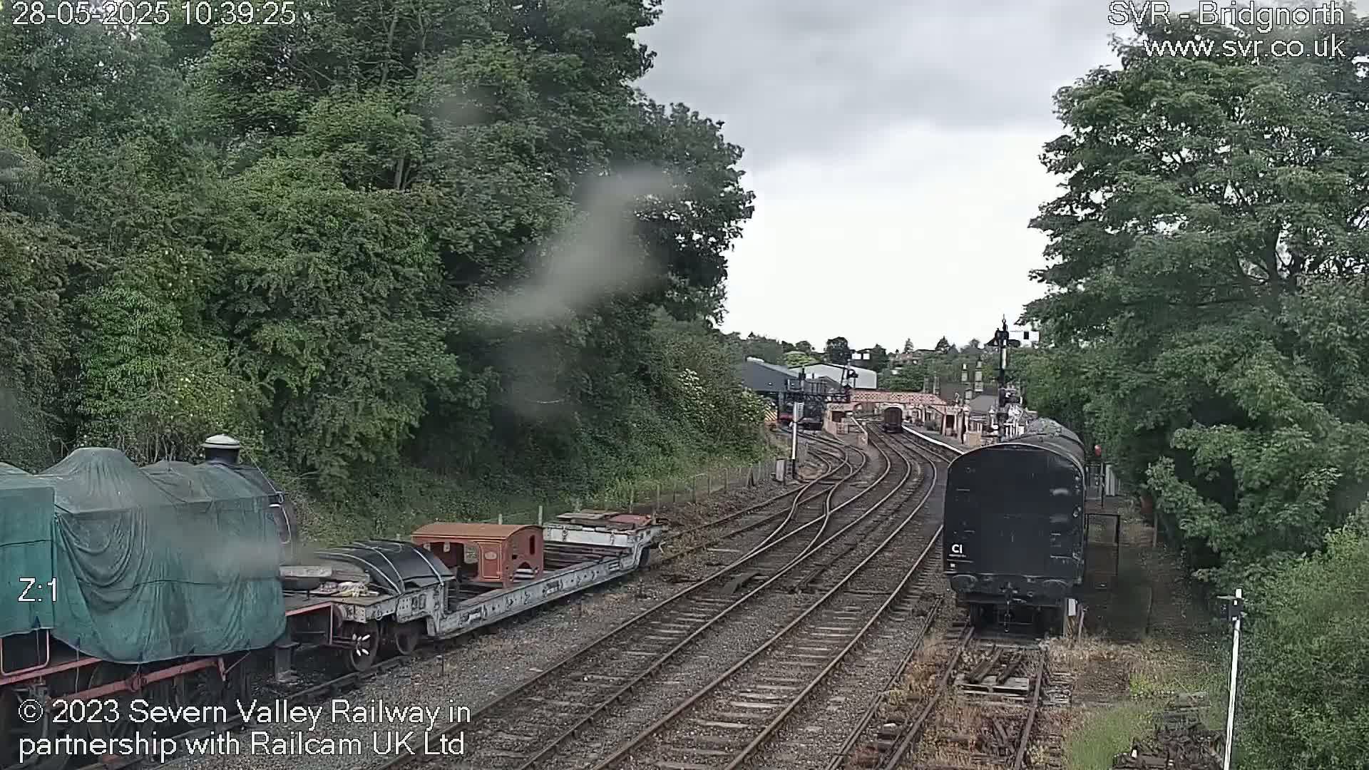 A railway yard with several trains and railcars on multiple tracks, partially obscured by trees under an overcast sky.
