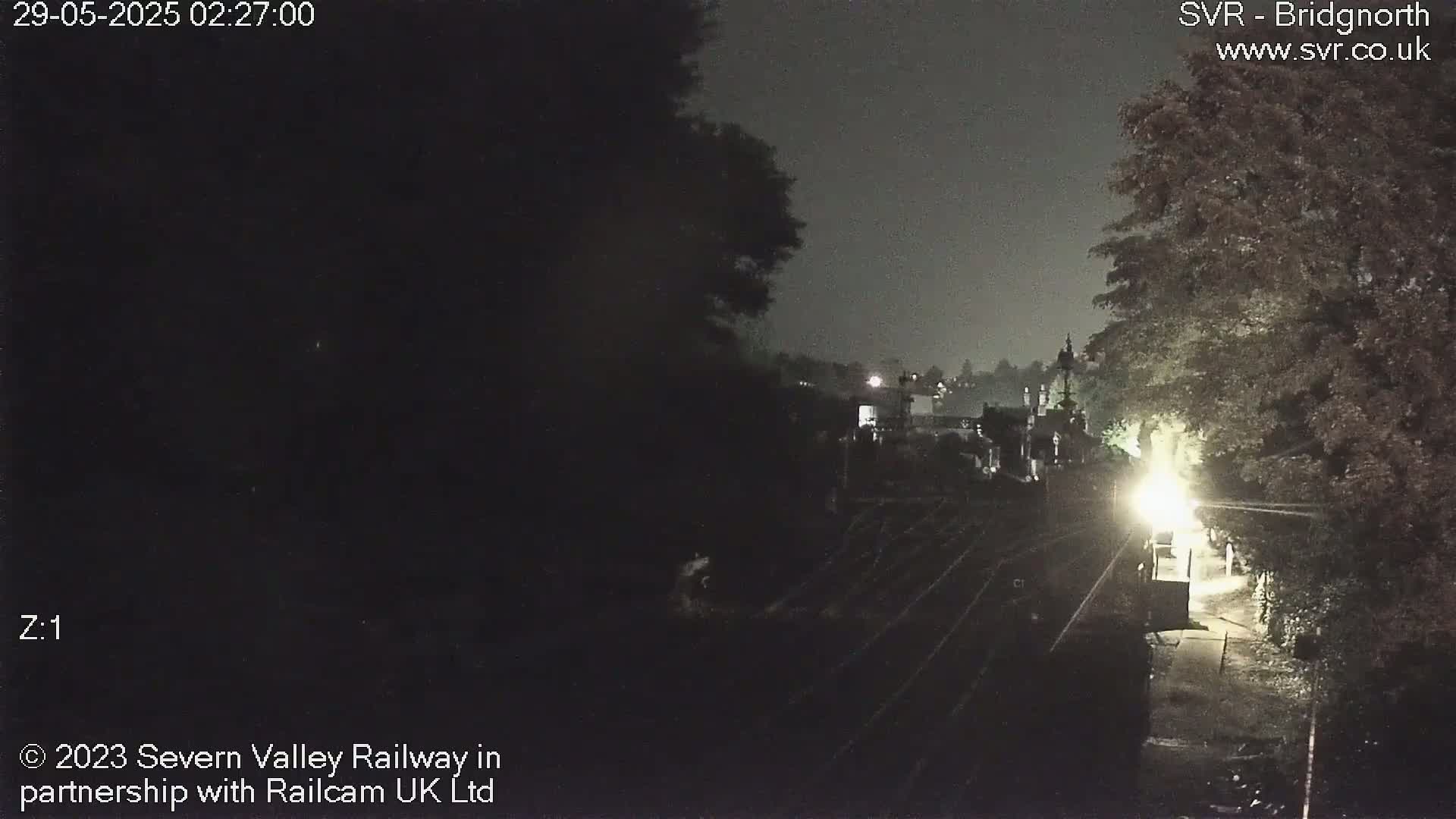 A nighttime view of a dimly lit train station and railway tracks, partially obscured by trees under a dark sky.