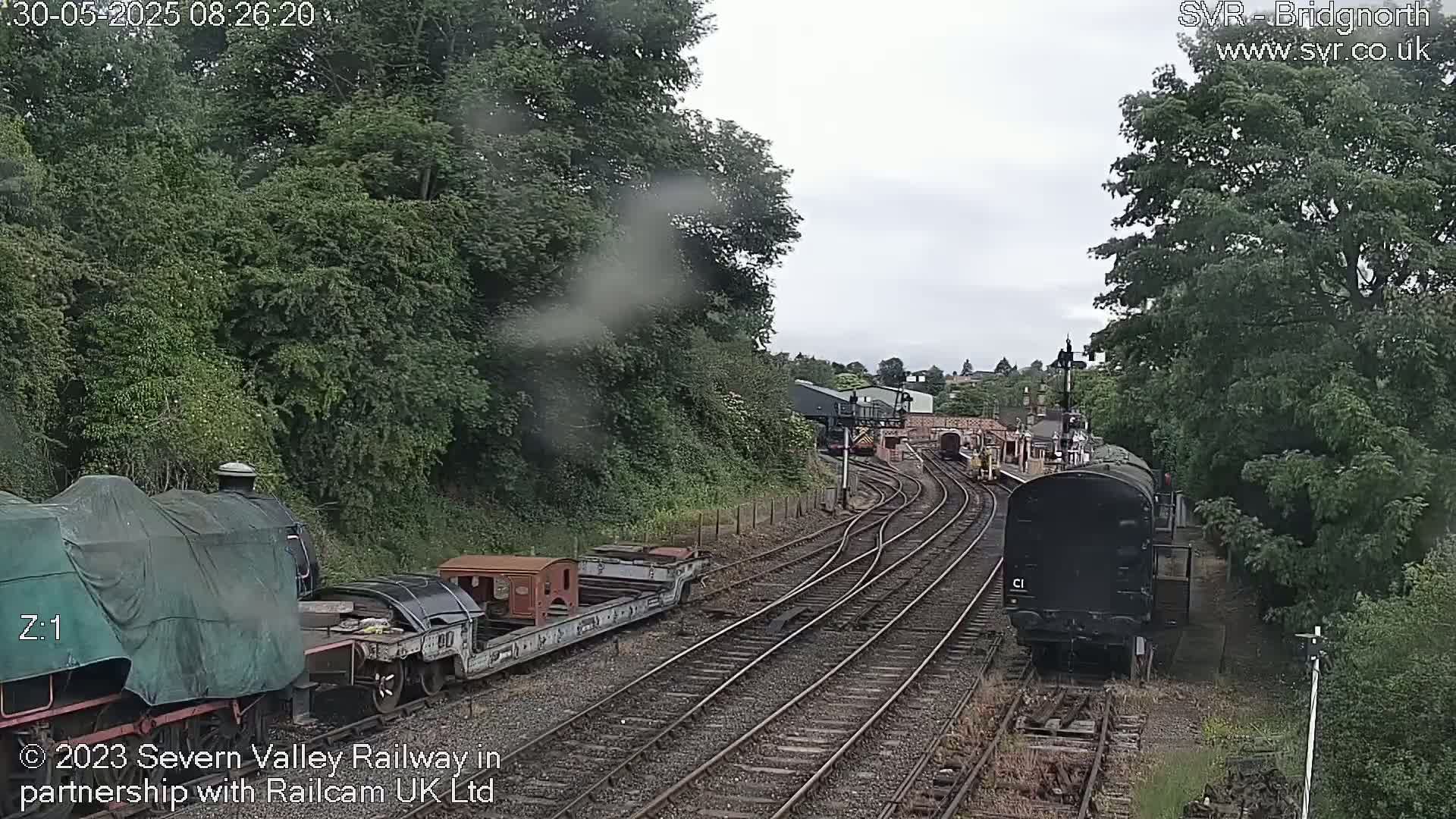 A view of a railway line on an overcast day, showing several train cars and locomotives, some covered, situated amongst lush green trees.