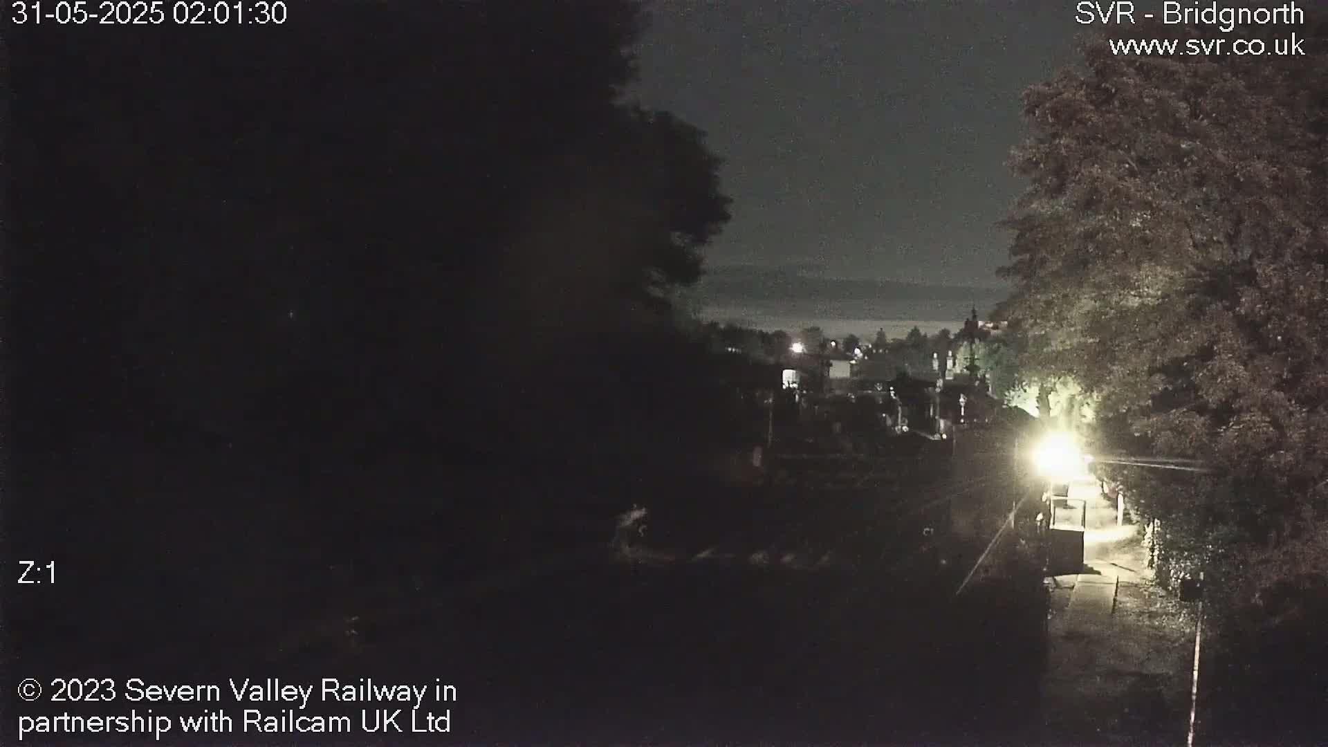 A nighttime, low-light view of a dimly lit town or village, partially obscured by trees, with a faint glow on a road or path in the foreground.