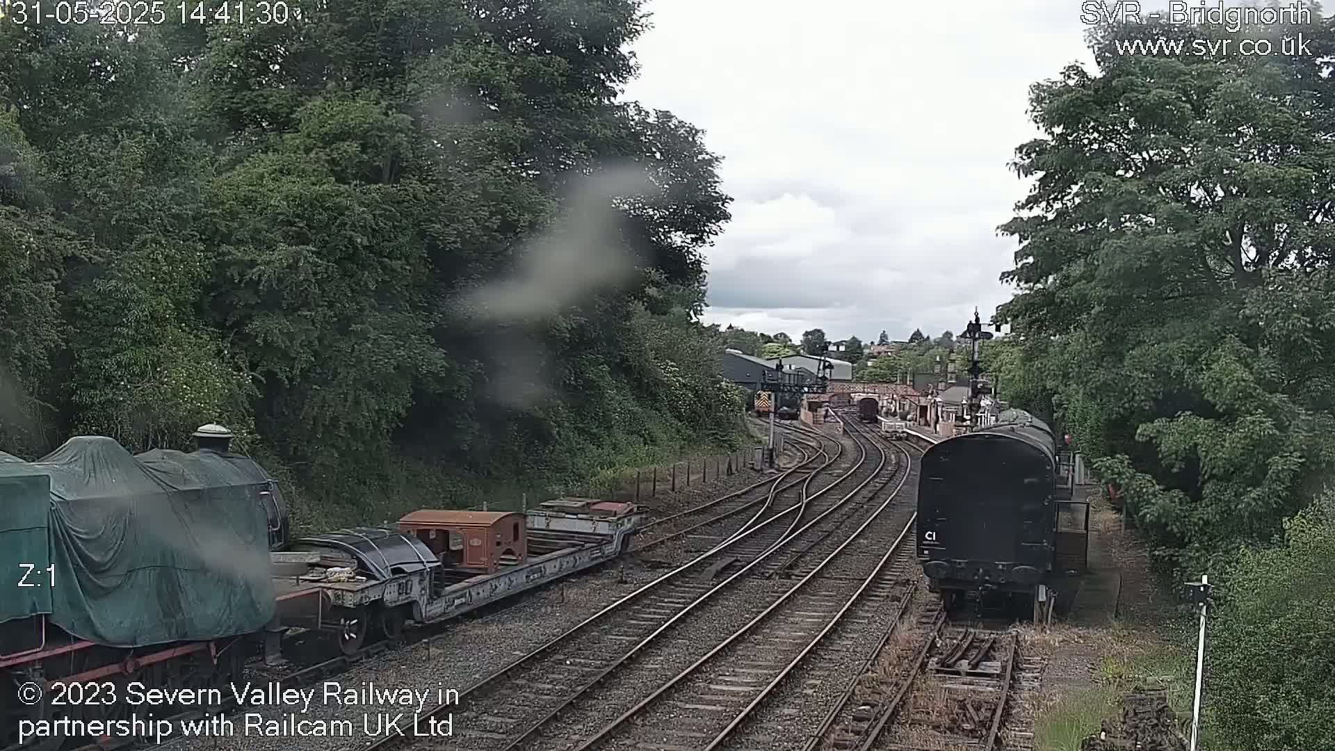 A view of a railway yard on an overcast day, showing several train cars and locomotives, some covered, with lush green trees lining the tracks.