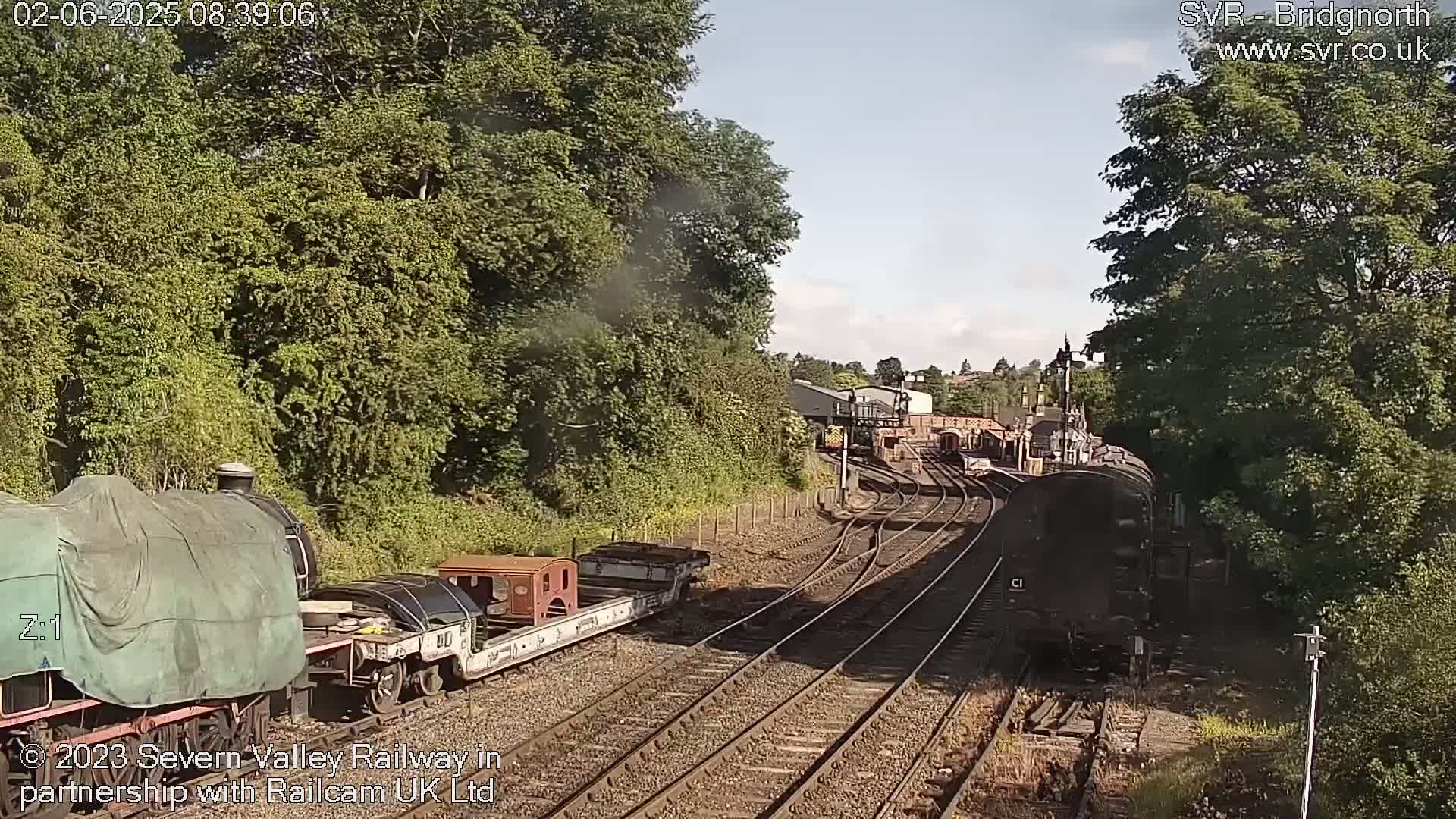A sunny day at a railway yard shows multiple train cars and locomotives on tracks surrounded by lush green trees.