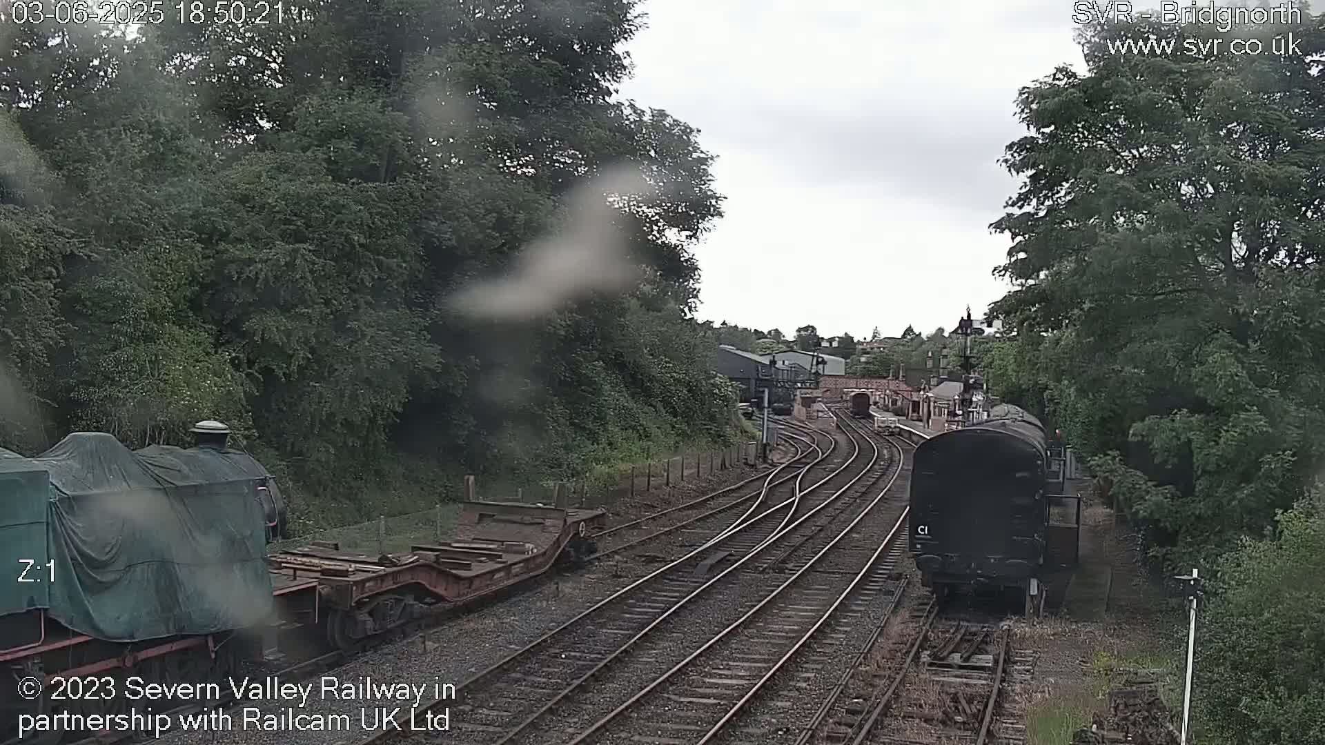 A view of a railway yard with multiple train cars and locomotives, partially obscured by rain and trees, on an overcast day.
