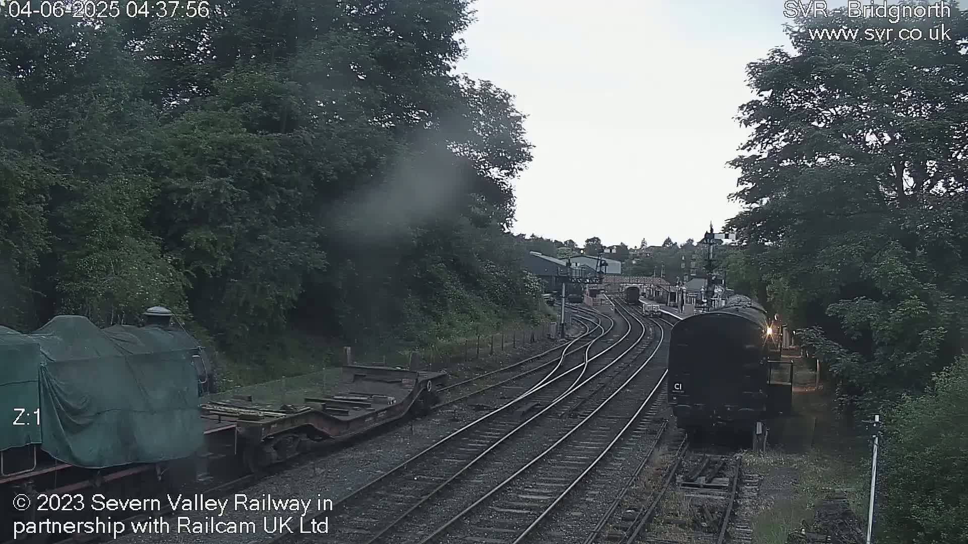 Two locomotives, one covered and one uncovered, are visible on a railway track surrounded by trees under an overcast sky.