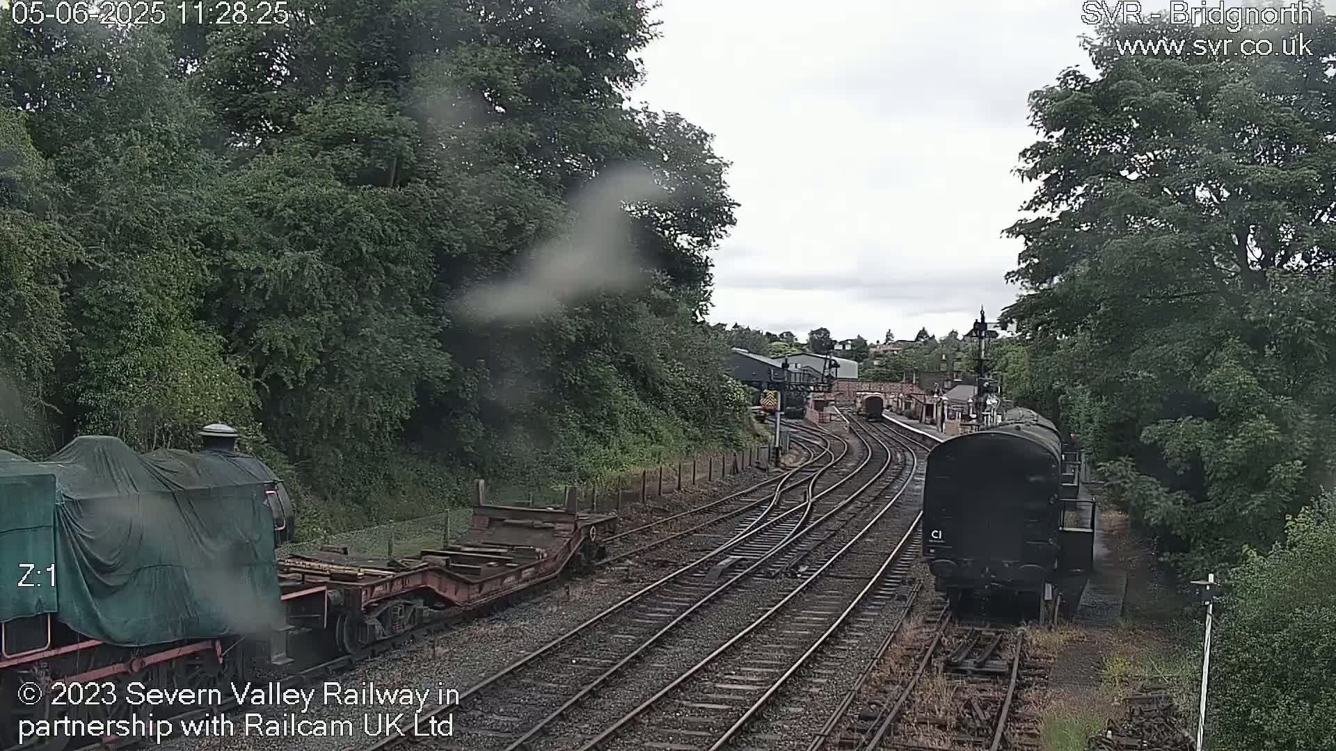 A view of a railway yard on an overcast day, showing multiple train cars and locomotives on multiple tracks, surrounded by lush green trees.