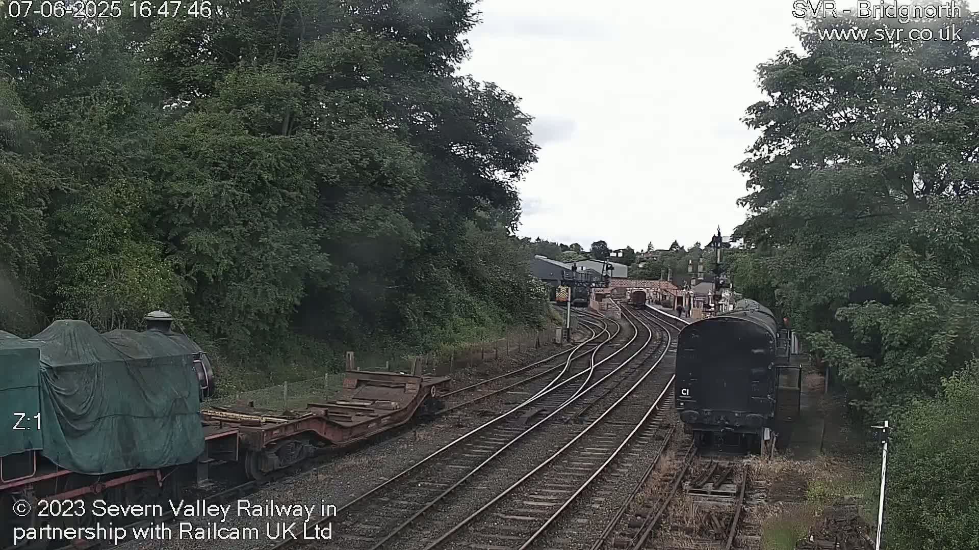 A railway scene on an overcast day shows multiple train cars and locomotives on converging tracks surrounded by lush green trees.