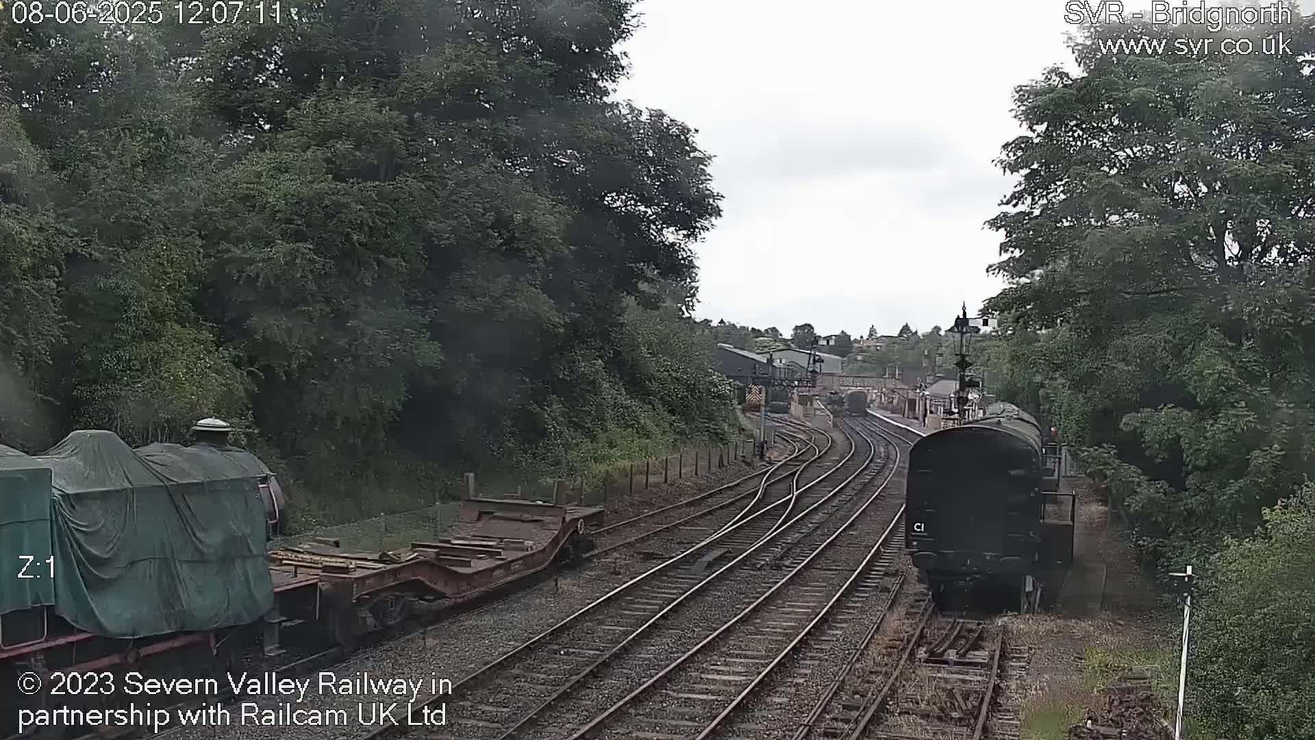 Two trains, one covered and one uncovered, are on a railway track surrounded by lush green trees under an overcast sky.